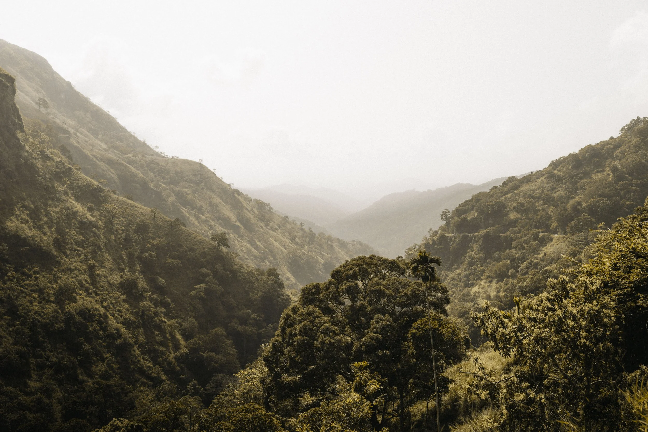 Sri Lanka Photo-14.jpg