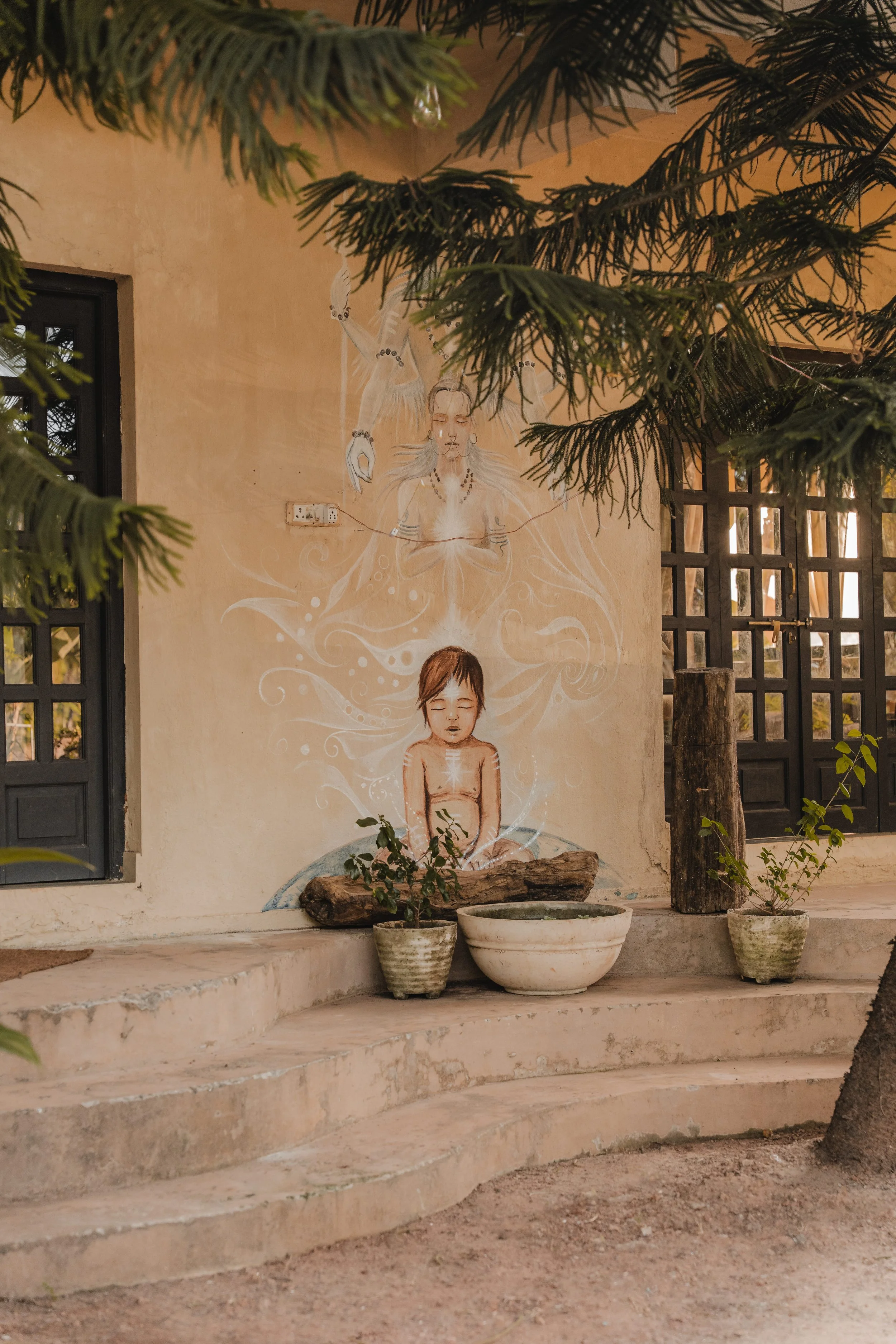 Palmorama Photo 23.jpg