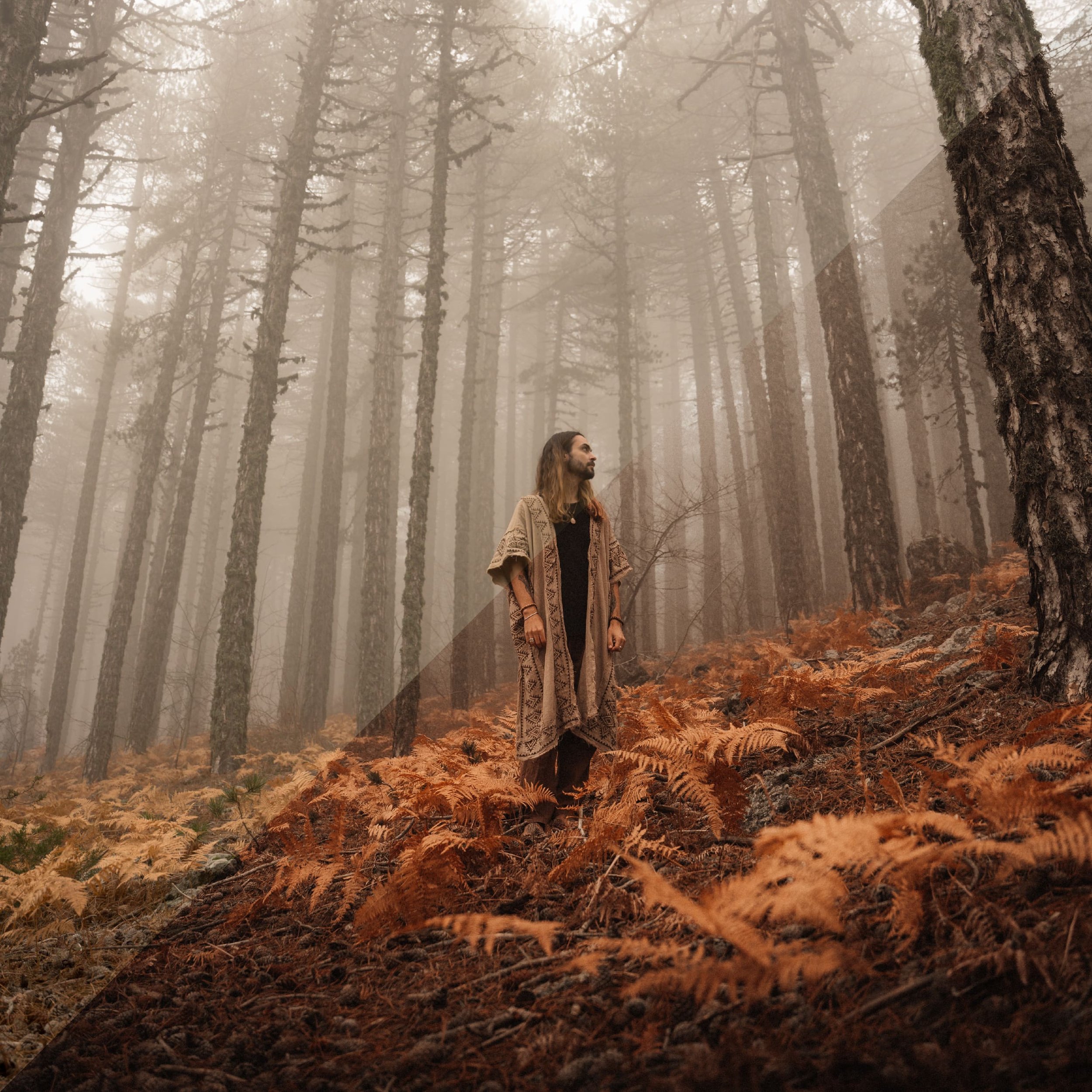 Wilderness-B&A-4.jpg