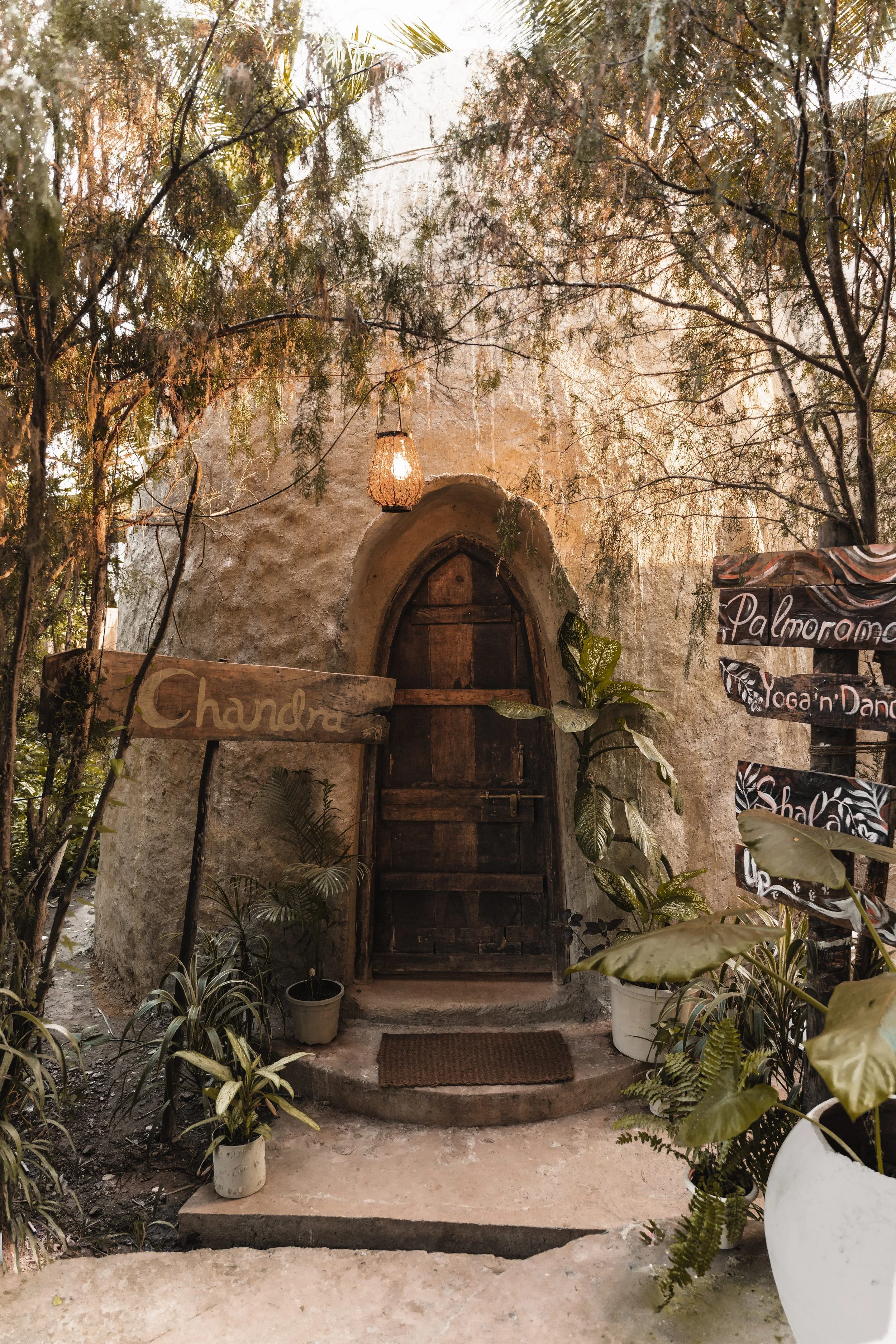 Palmorama Photo 13.jpg