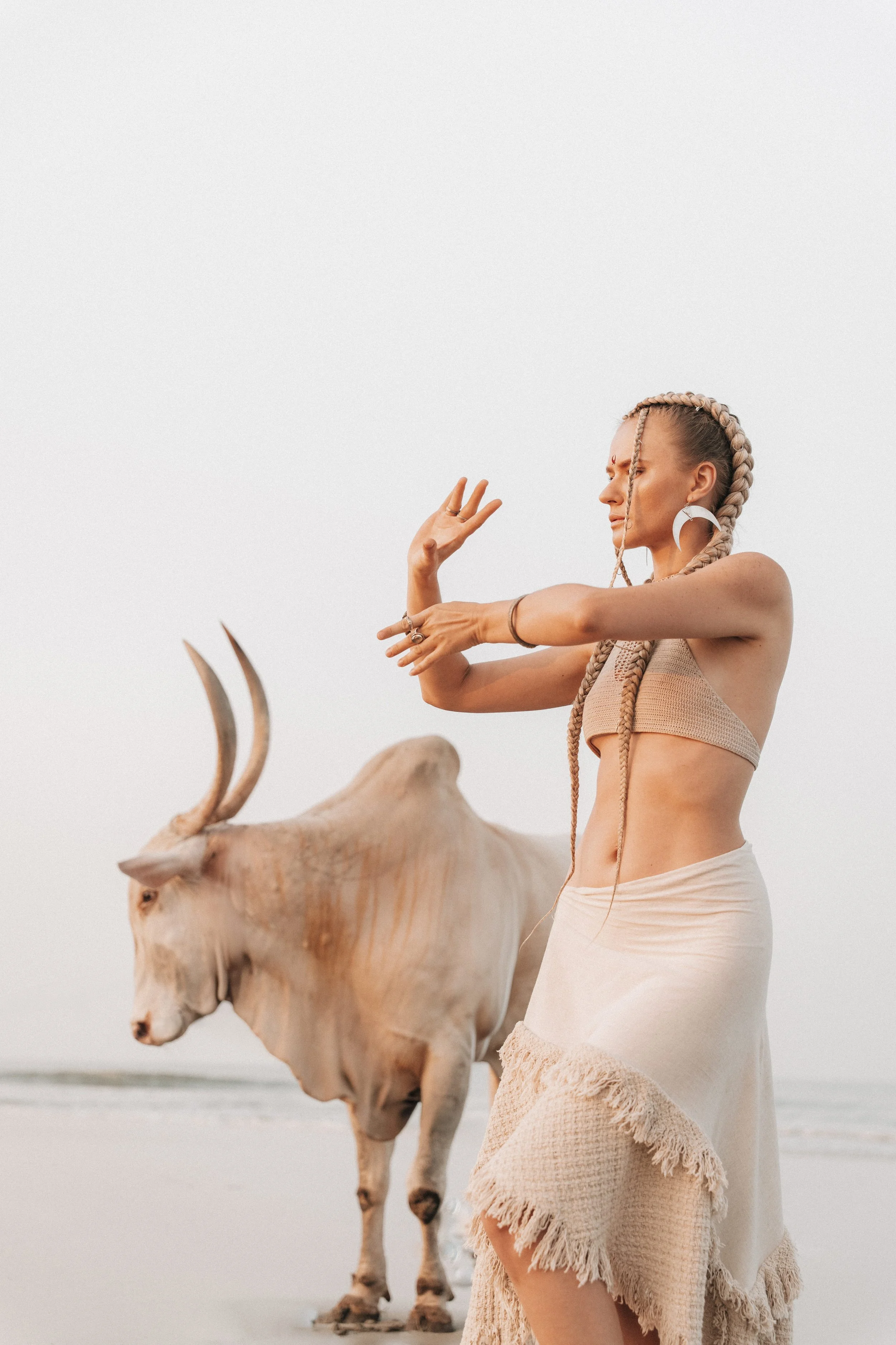 Arambol Beach Bull Shoot 2-10.jpg