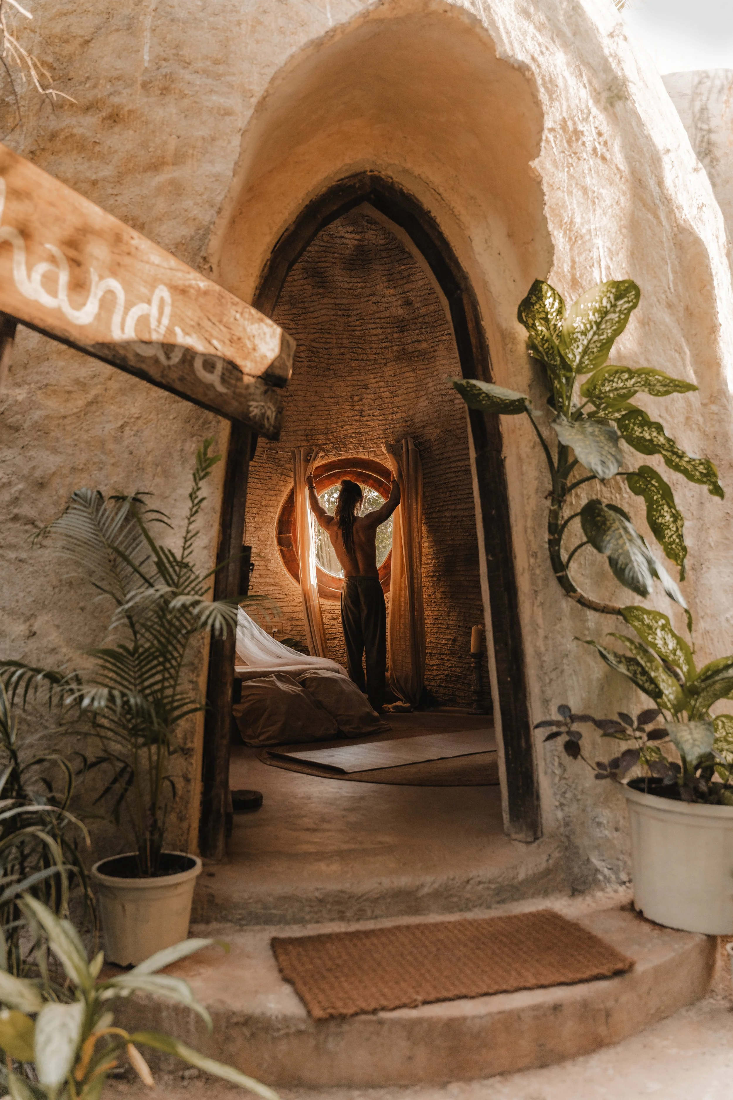 Palmorama Photo 22.jpg