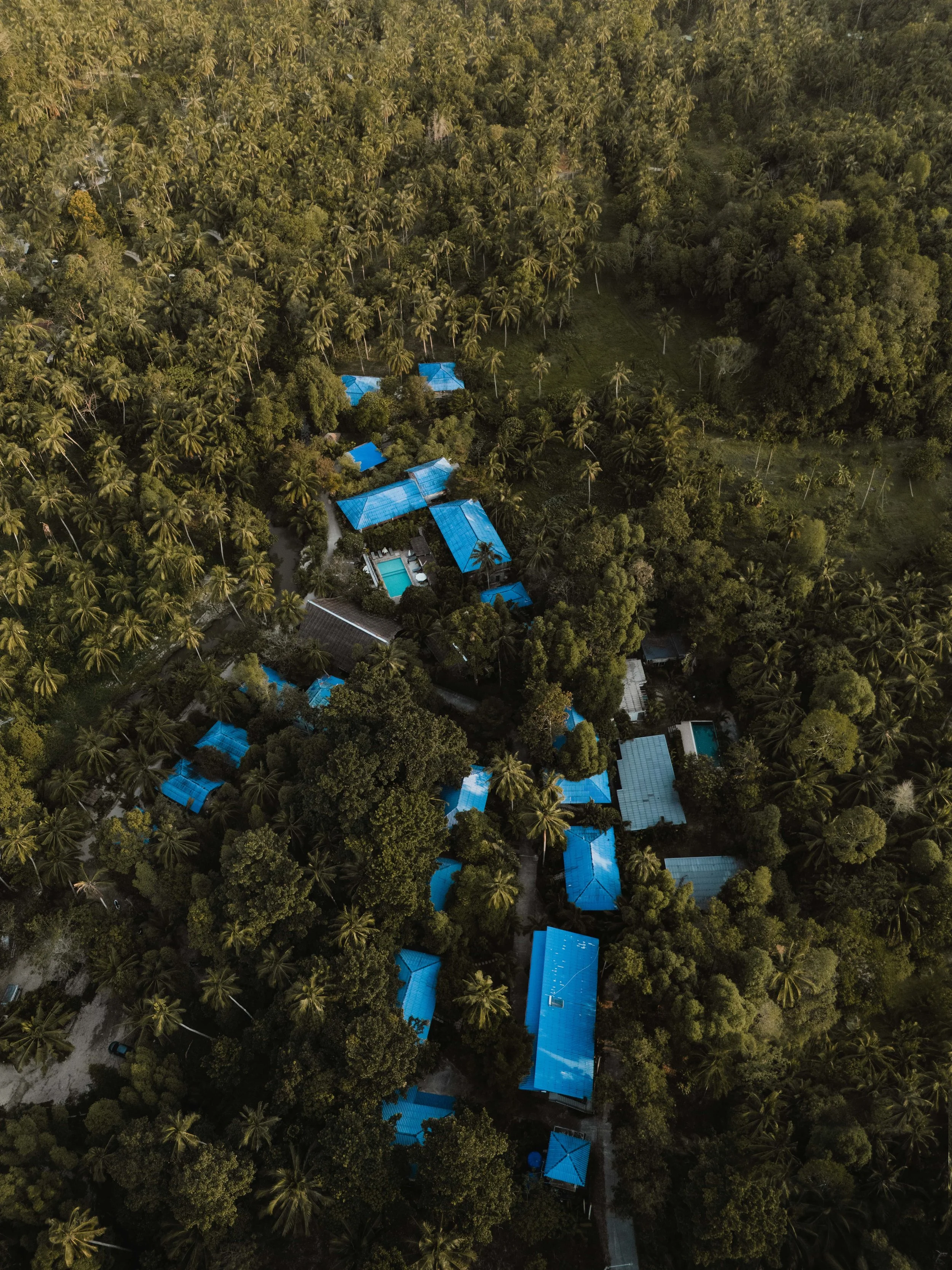 Wonderland Healing Center 23-min.jpg