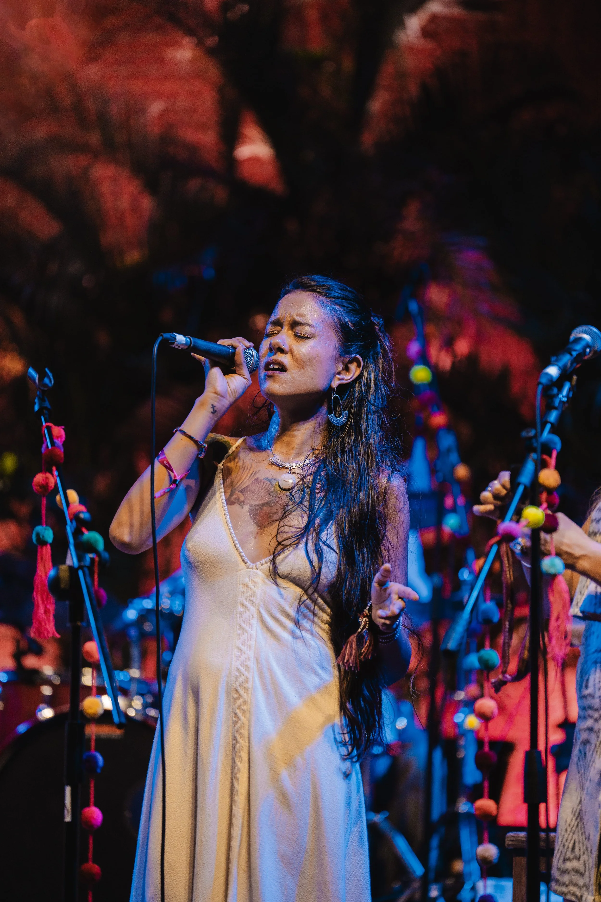 Hanuman Project BSF-16.jpg