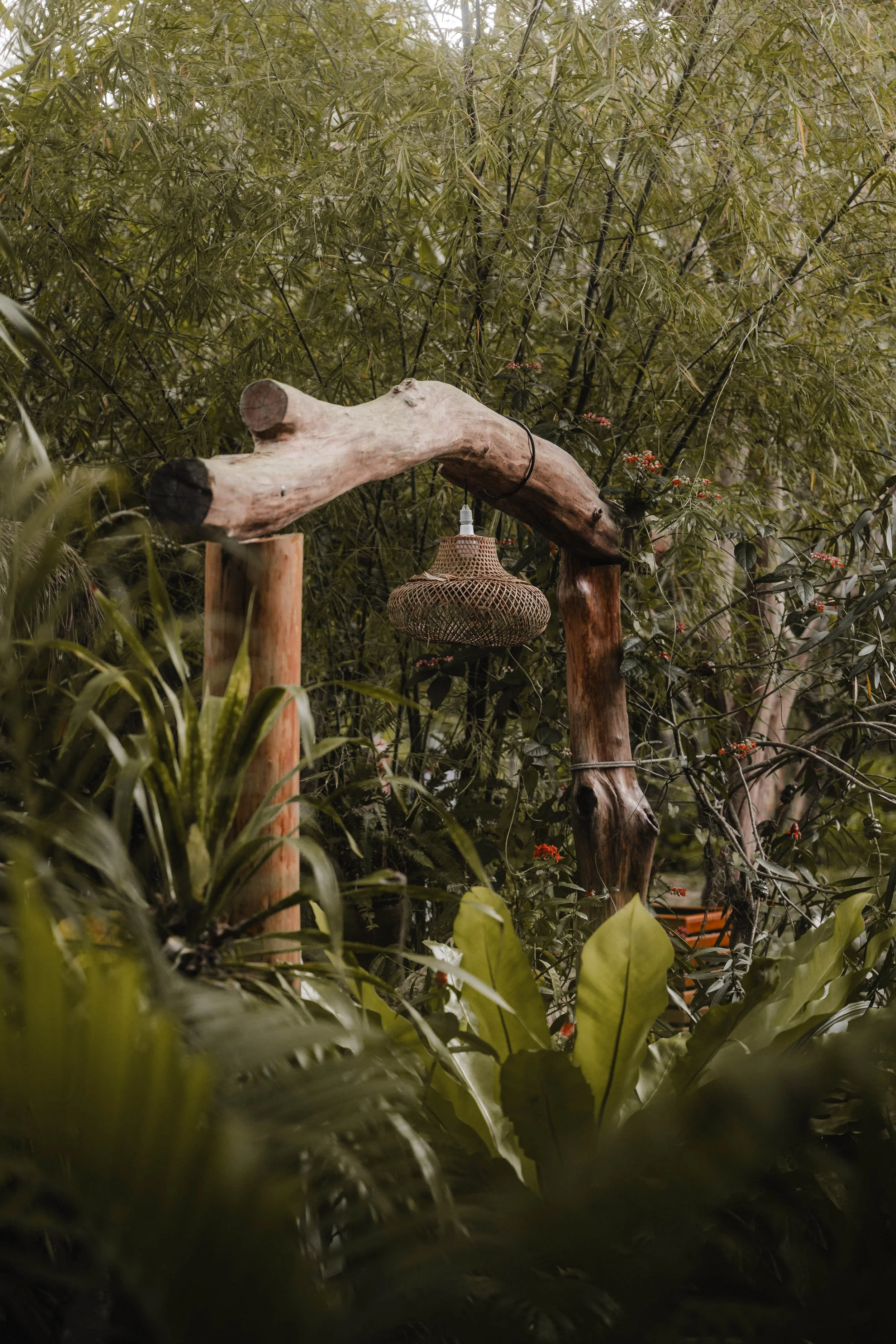 Wonderland Healing Center 21-min.jpg