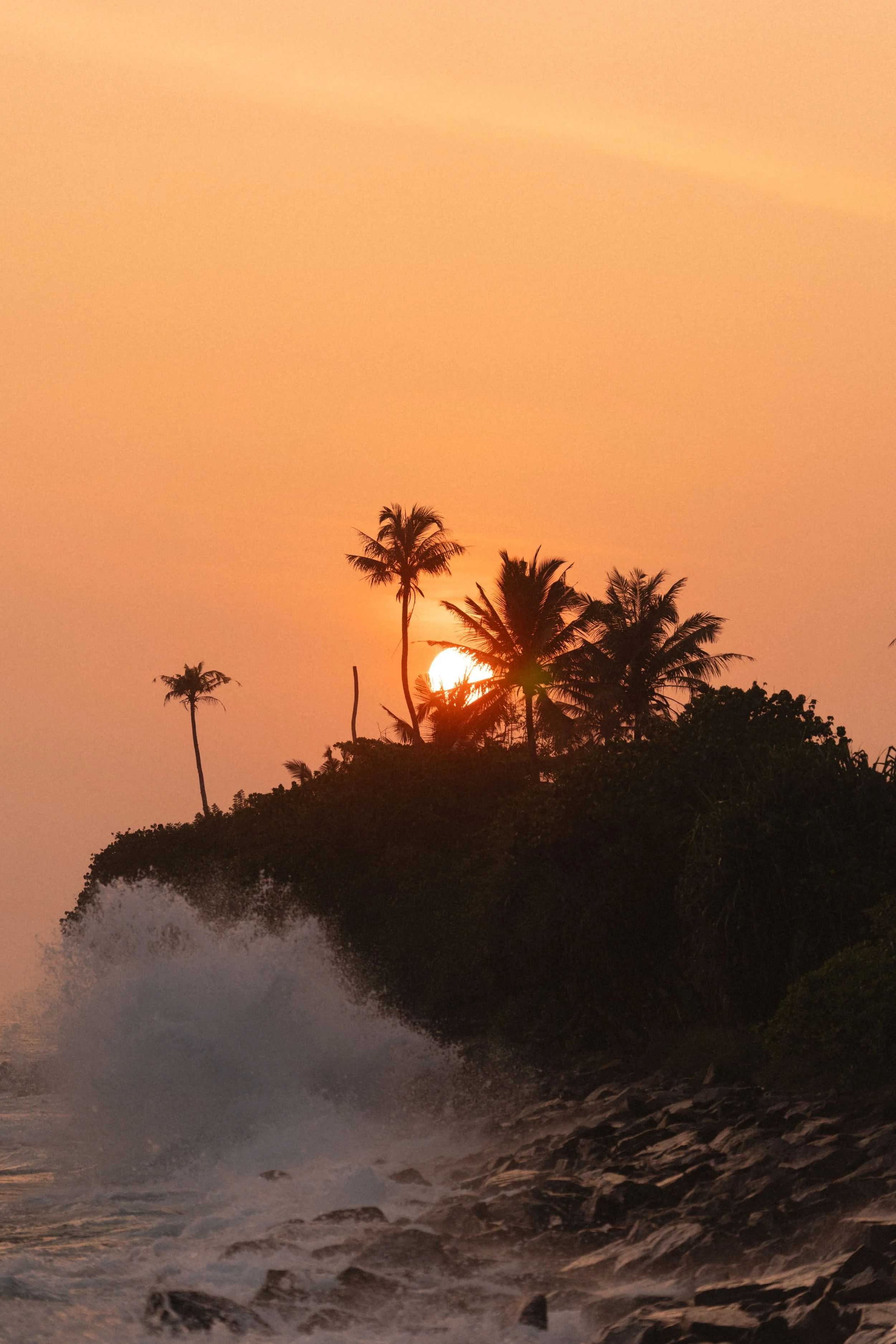 Sri Lanka Photo-24.jpg