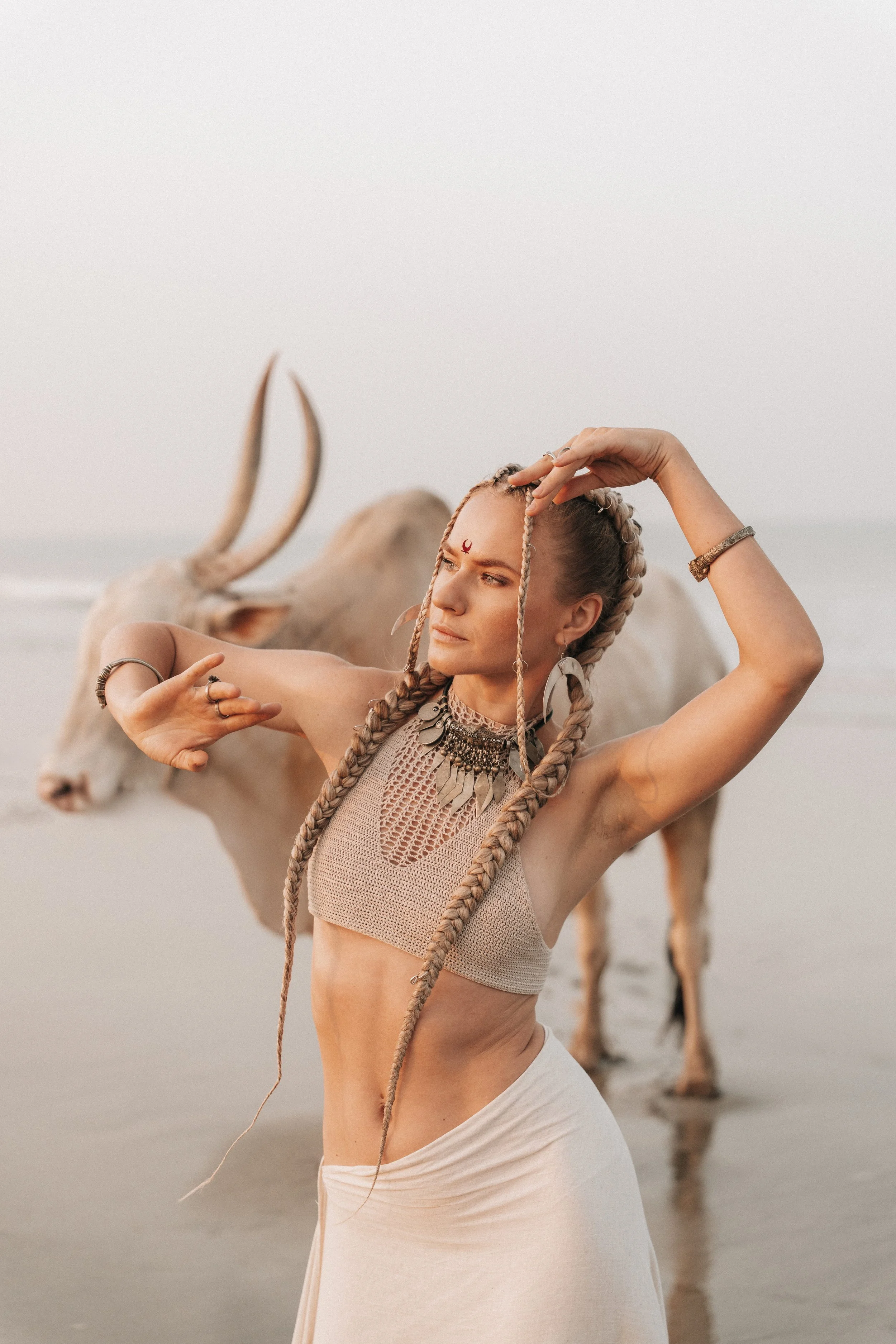 Arambol Beach Bull Shoot 2-8.jpg