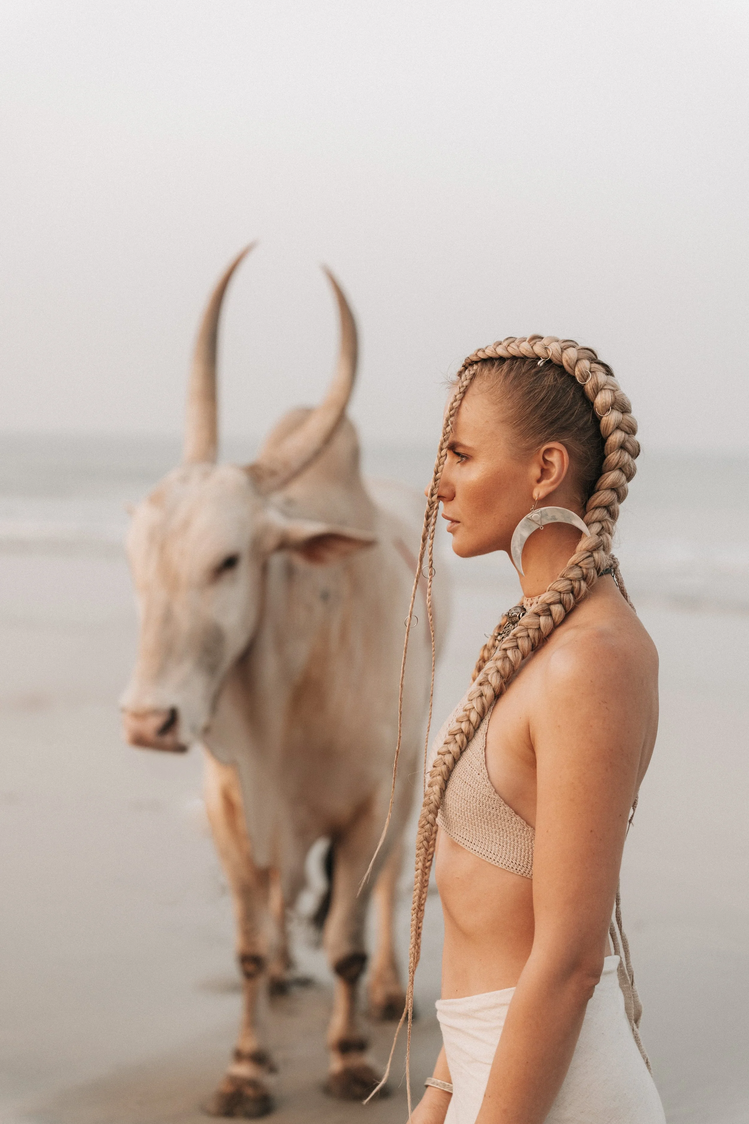 Arambol Beach Bull Shoot 2-28.jpg