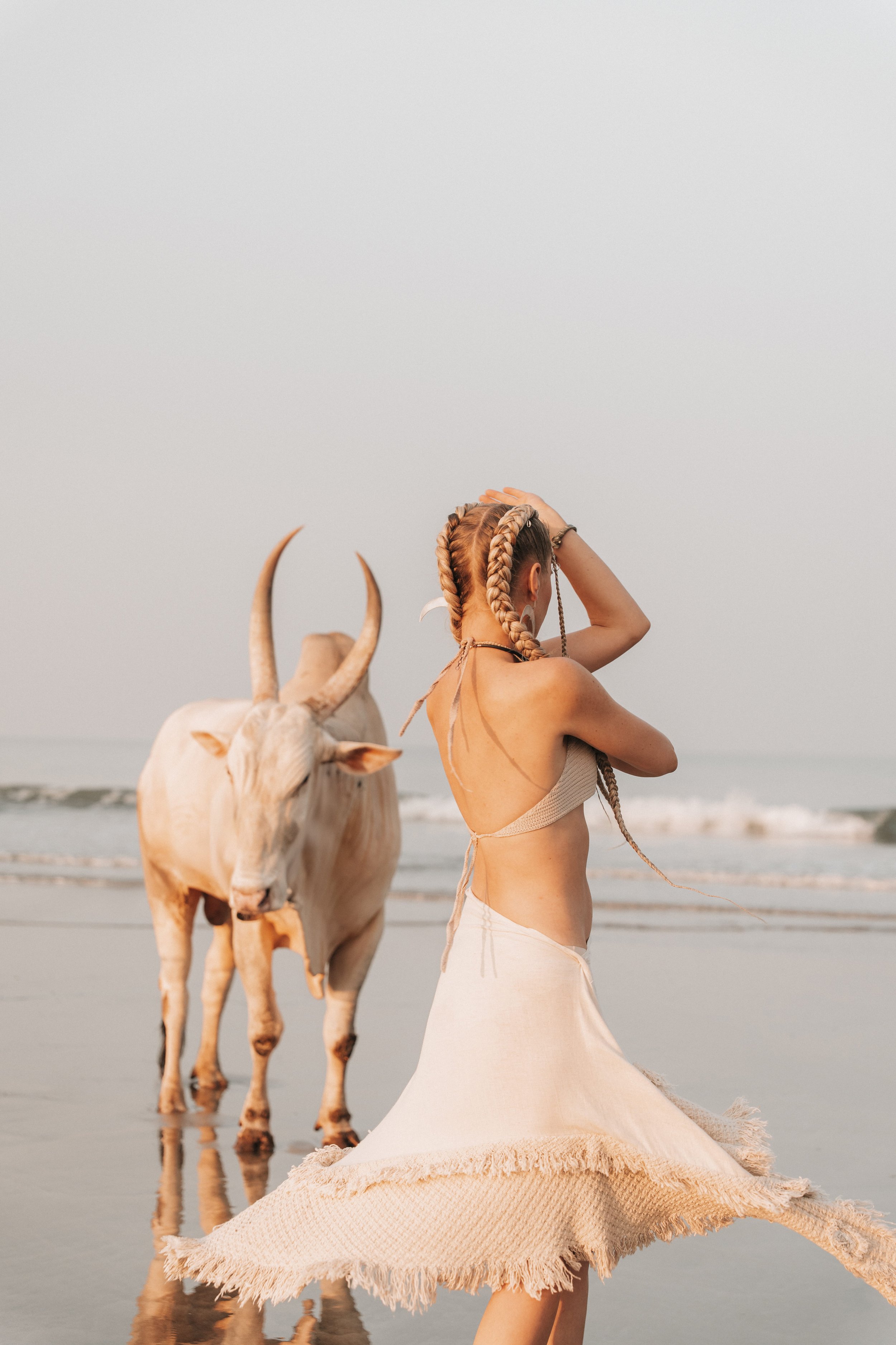 Arambol Beach Bull Shoot 2-20.jpg