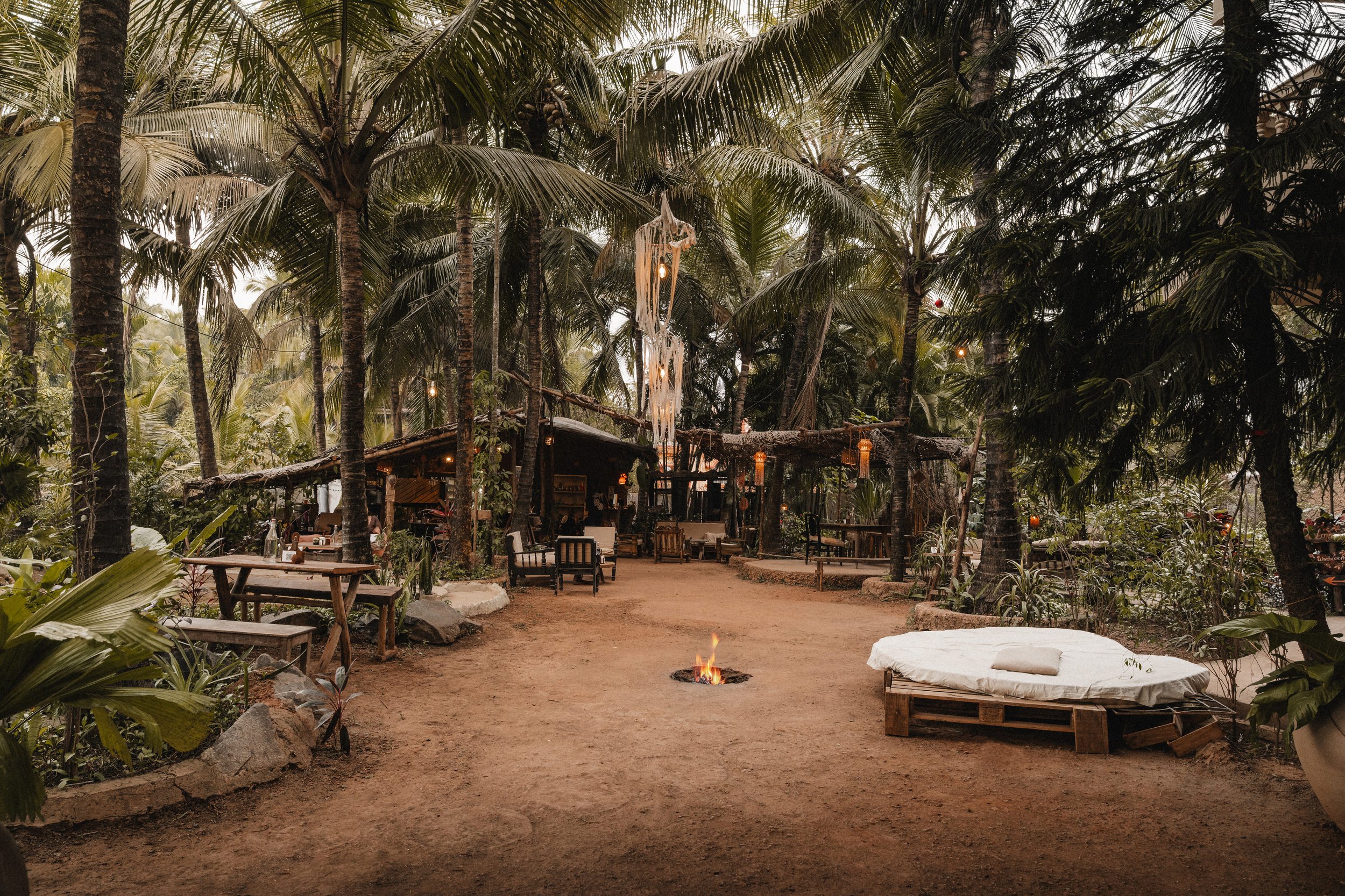 Palmorama Photo 1-min.jpg