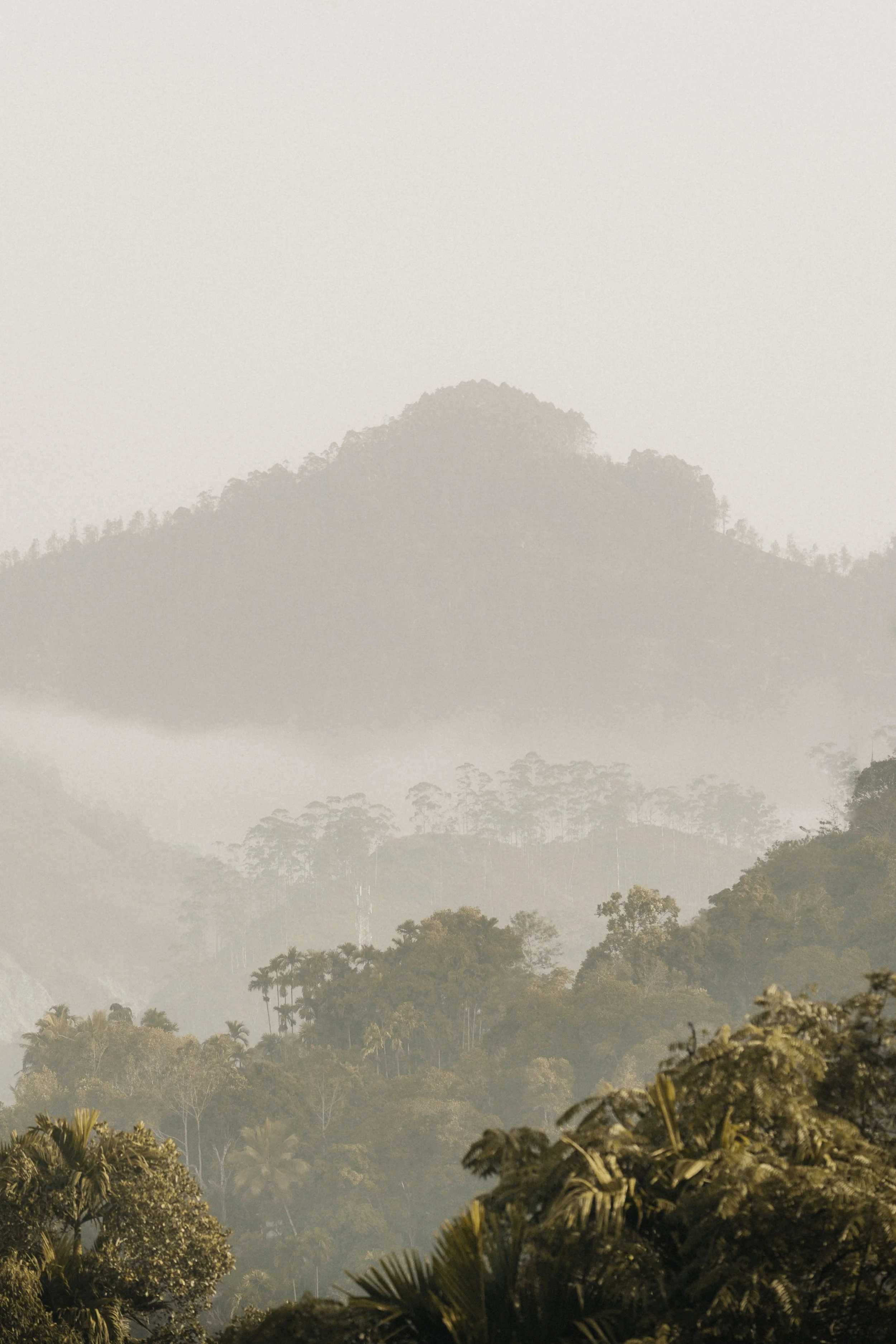 Sri Lanka Photo-20.jpg