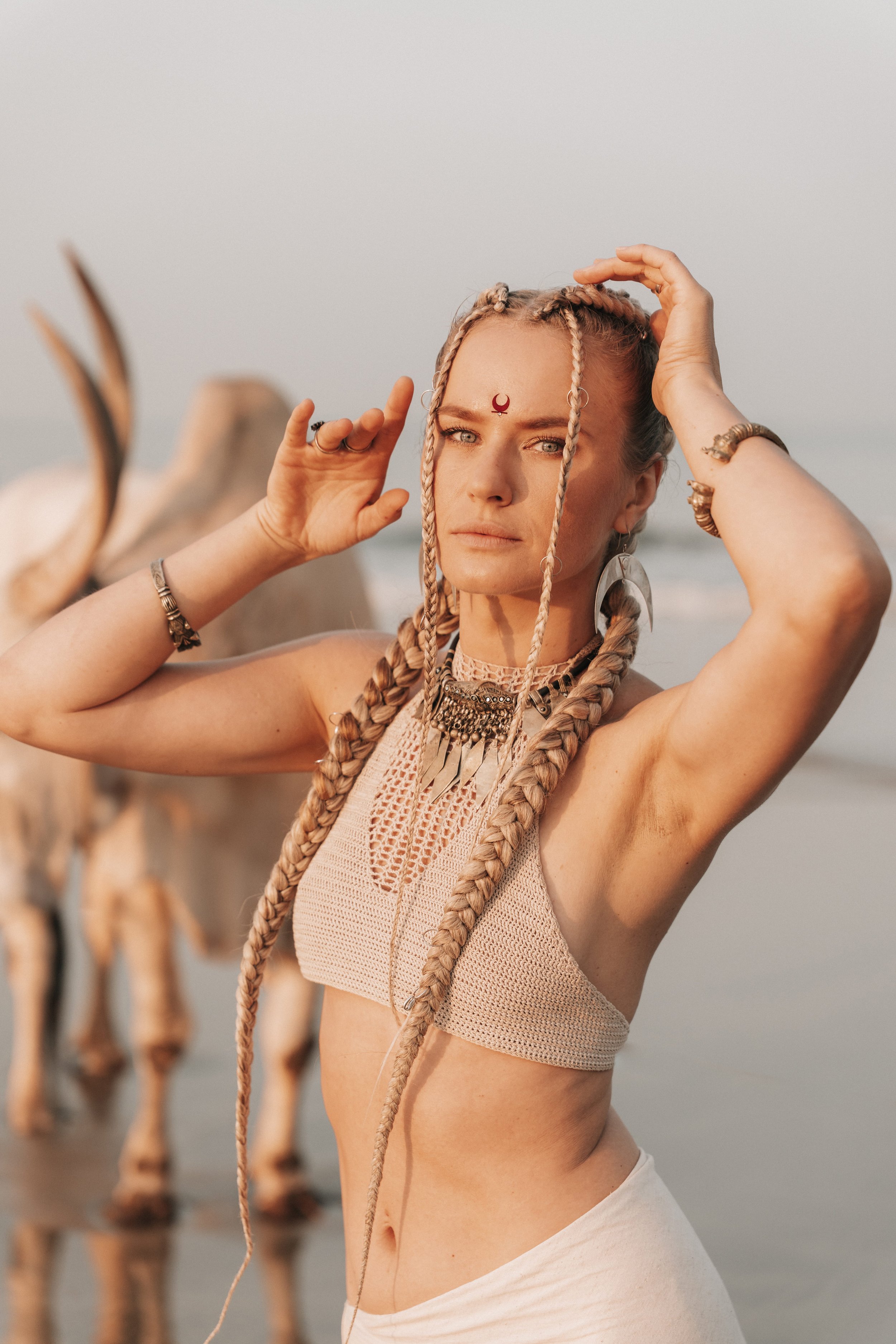 Arambol Beach Bull Shoot 2-25.jpg