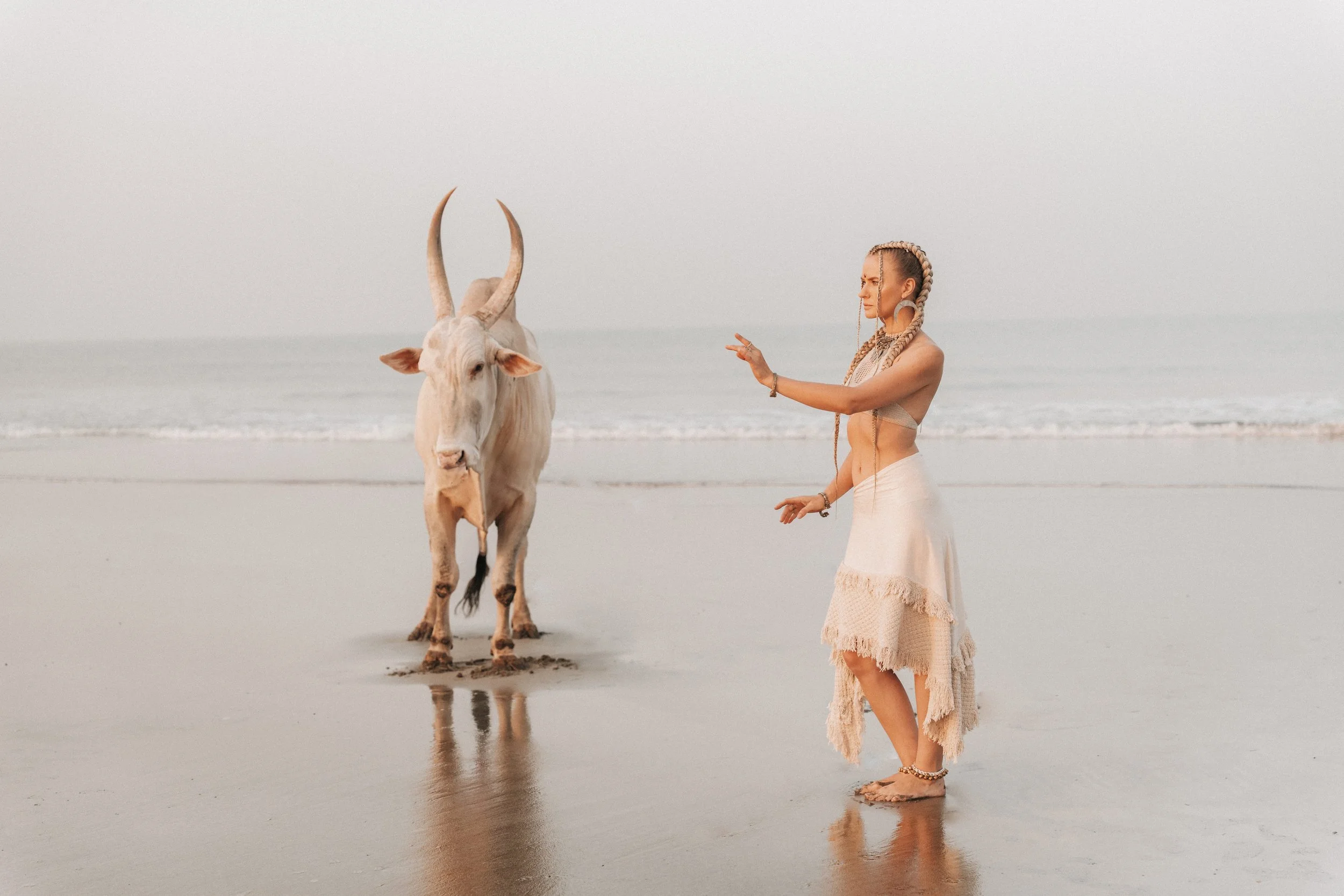 Arambol Beach Bull Shoot 2-12.jpg