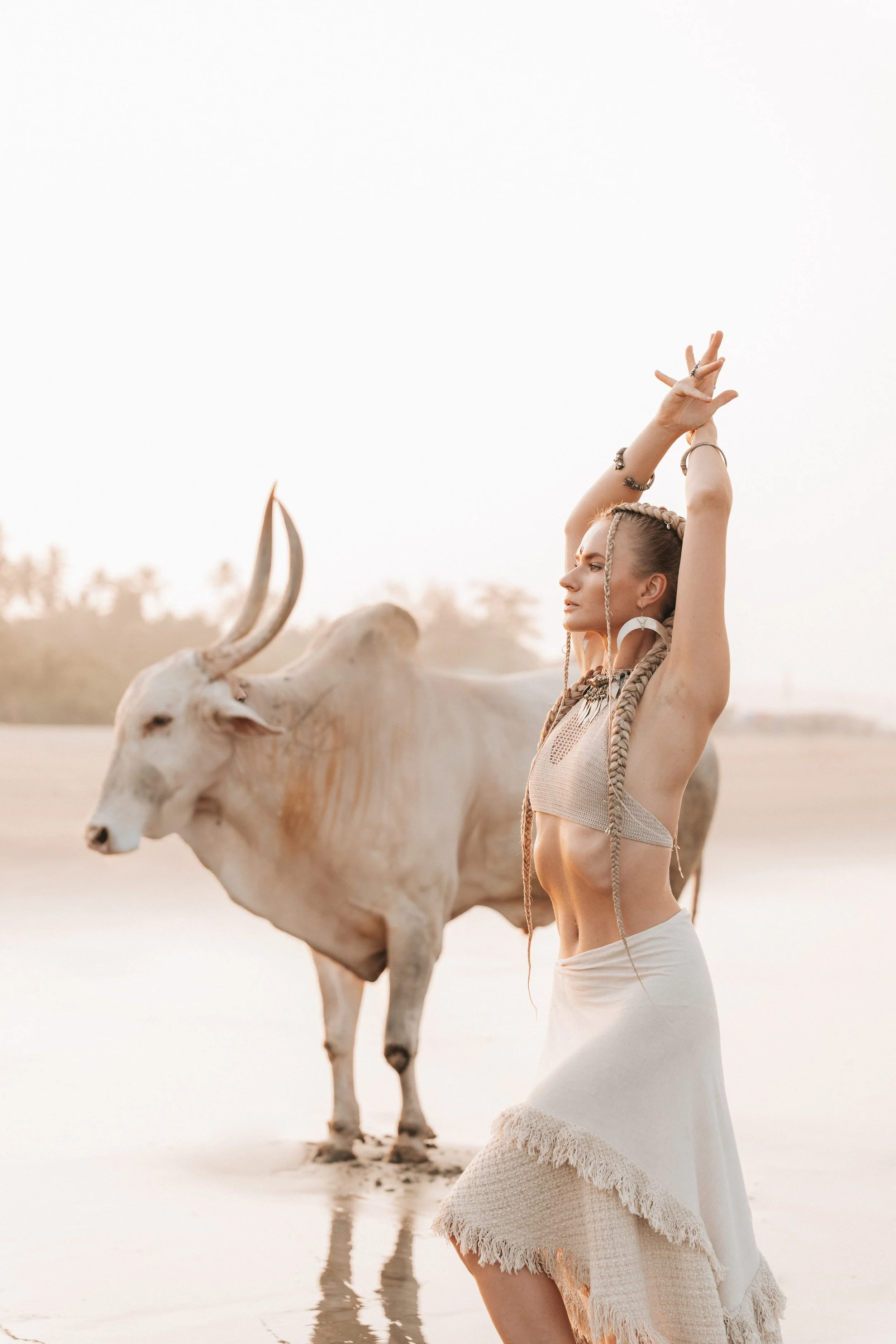 Arambol Beach Bull Shoot 2-16.jpg