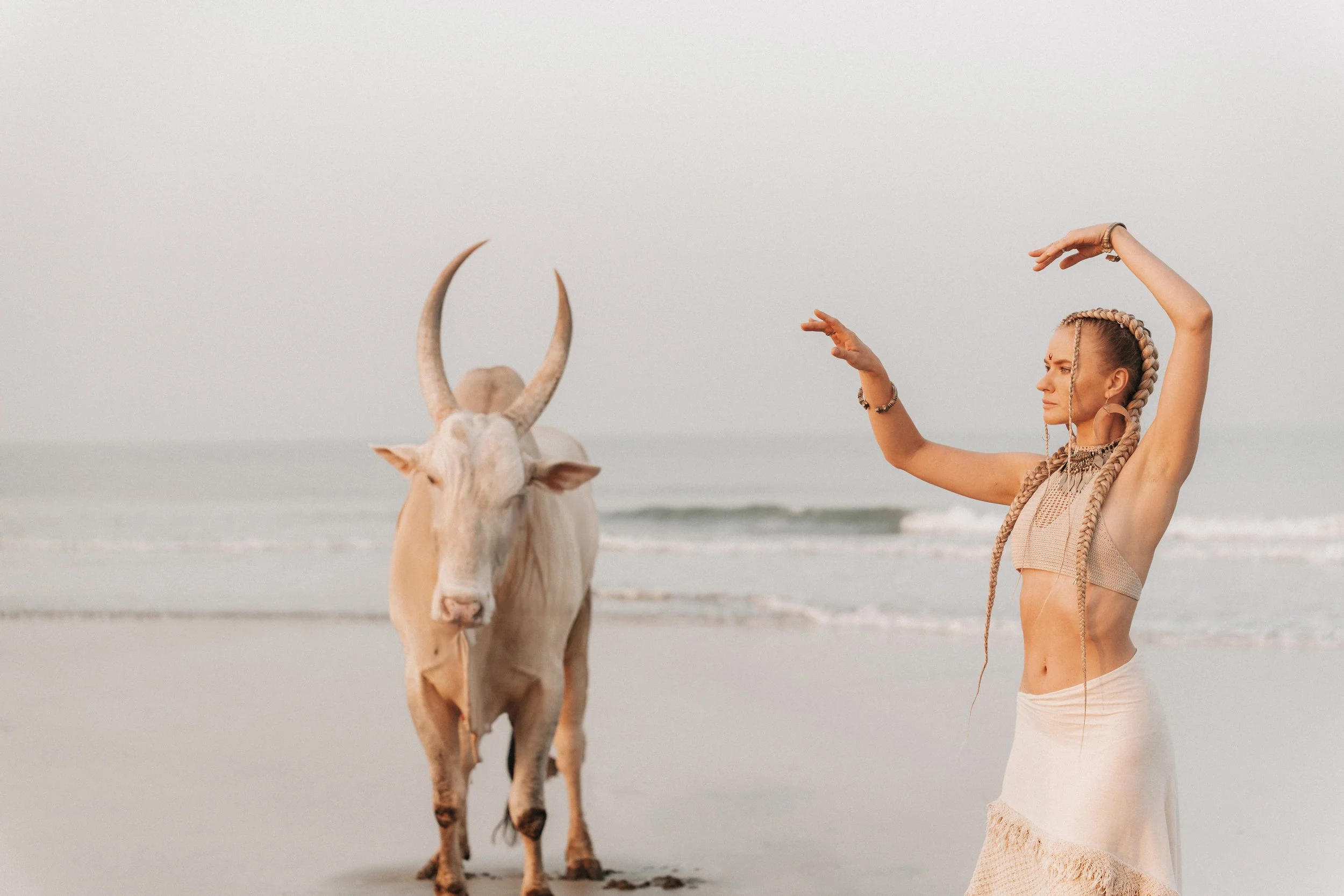 Arambol Beach Bull Shoot 2-13.jpg