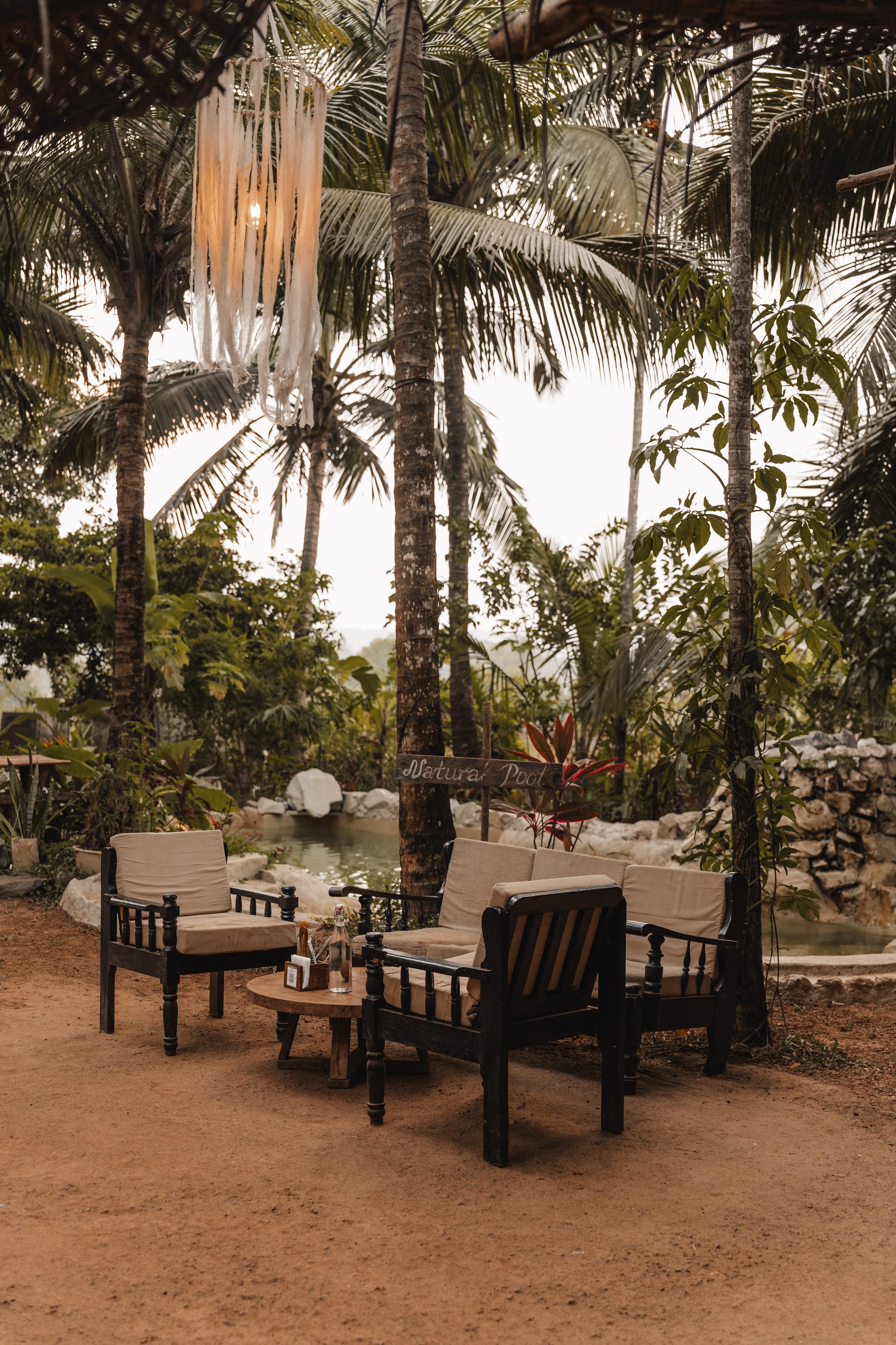 Palmorama Photo 19.jpg