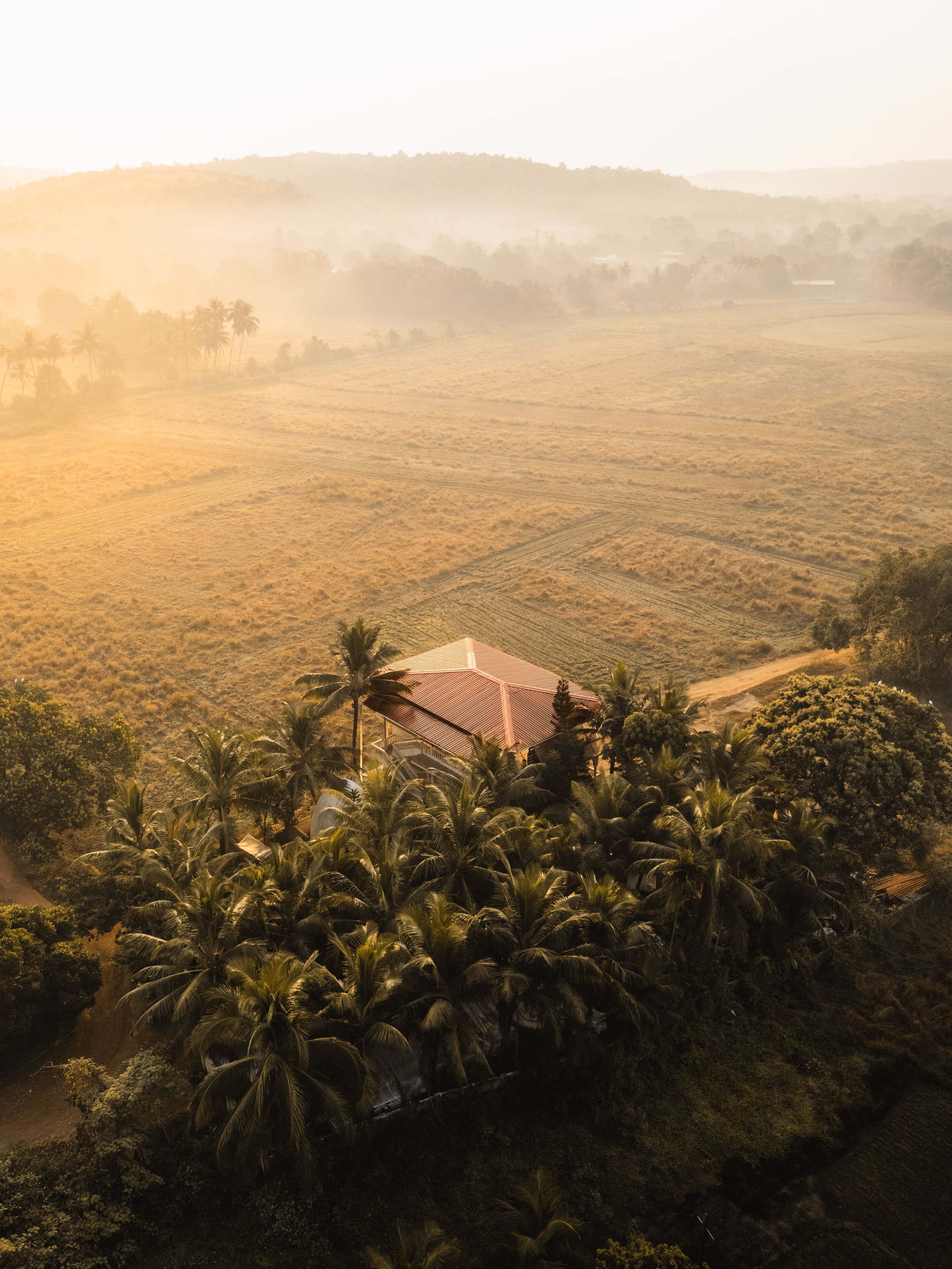 Palmorama Photo 4.jpg