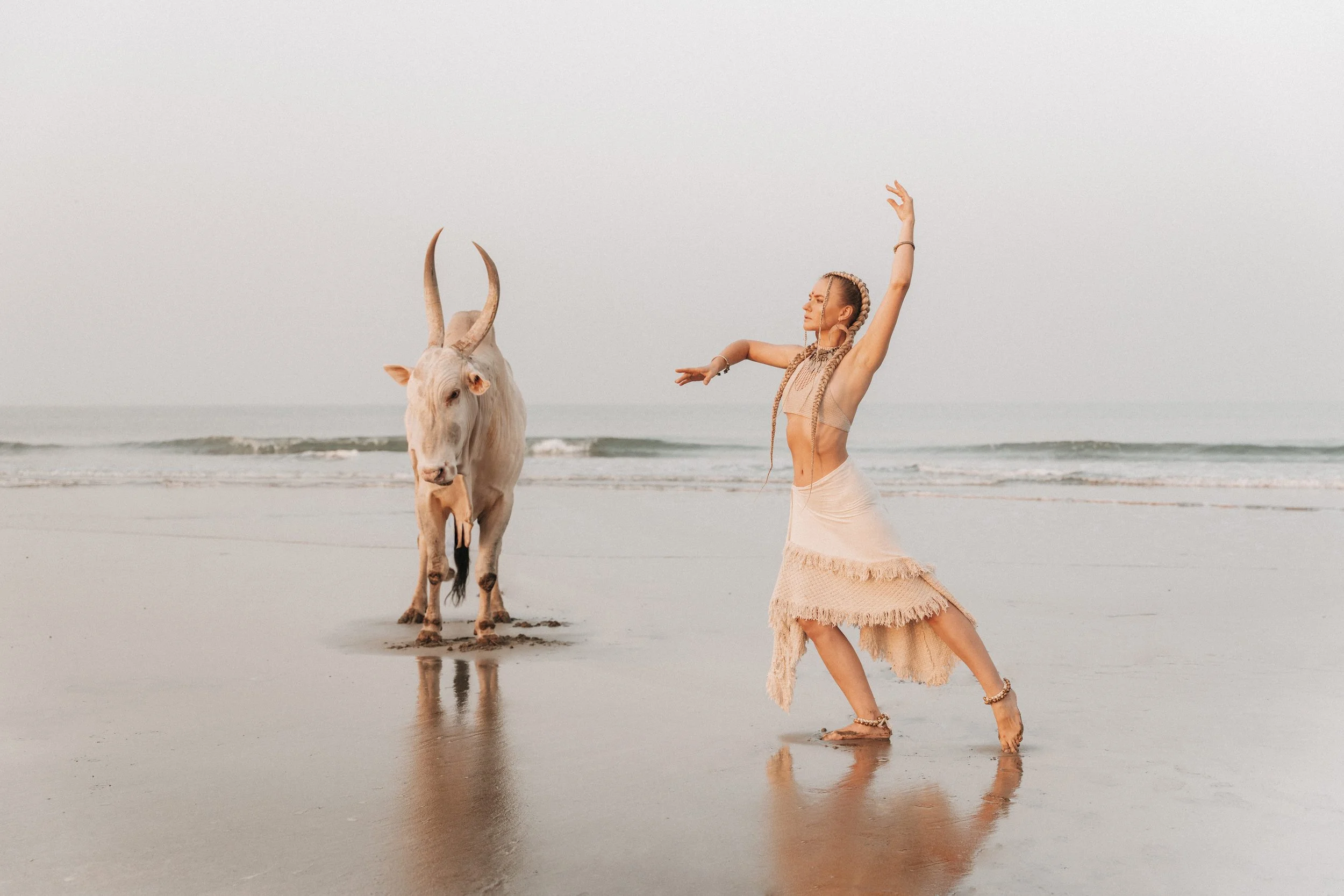 Arambol Beach Bull Shoot 2-14.jpg