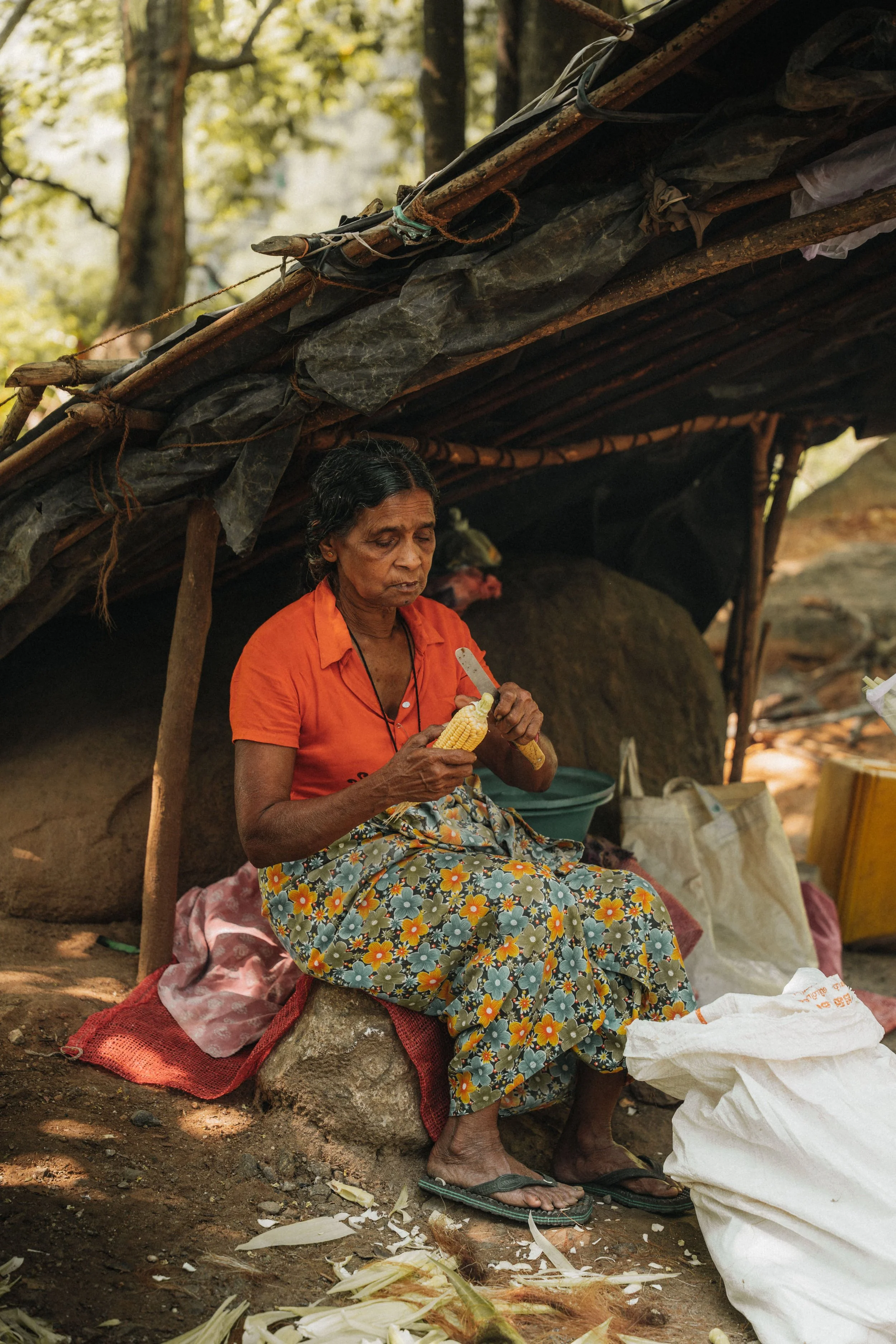 Sri Lanka Photo-15.jpg