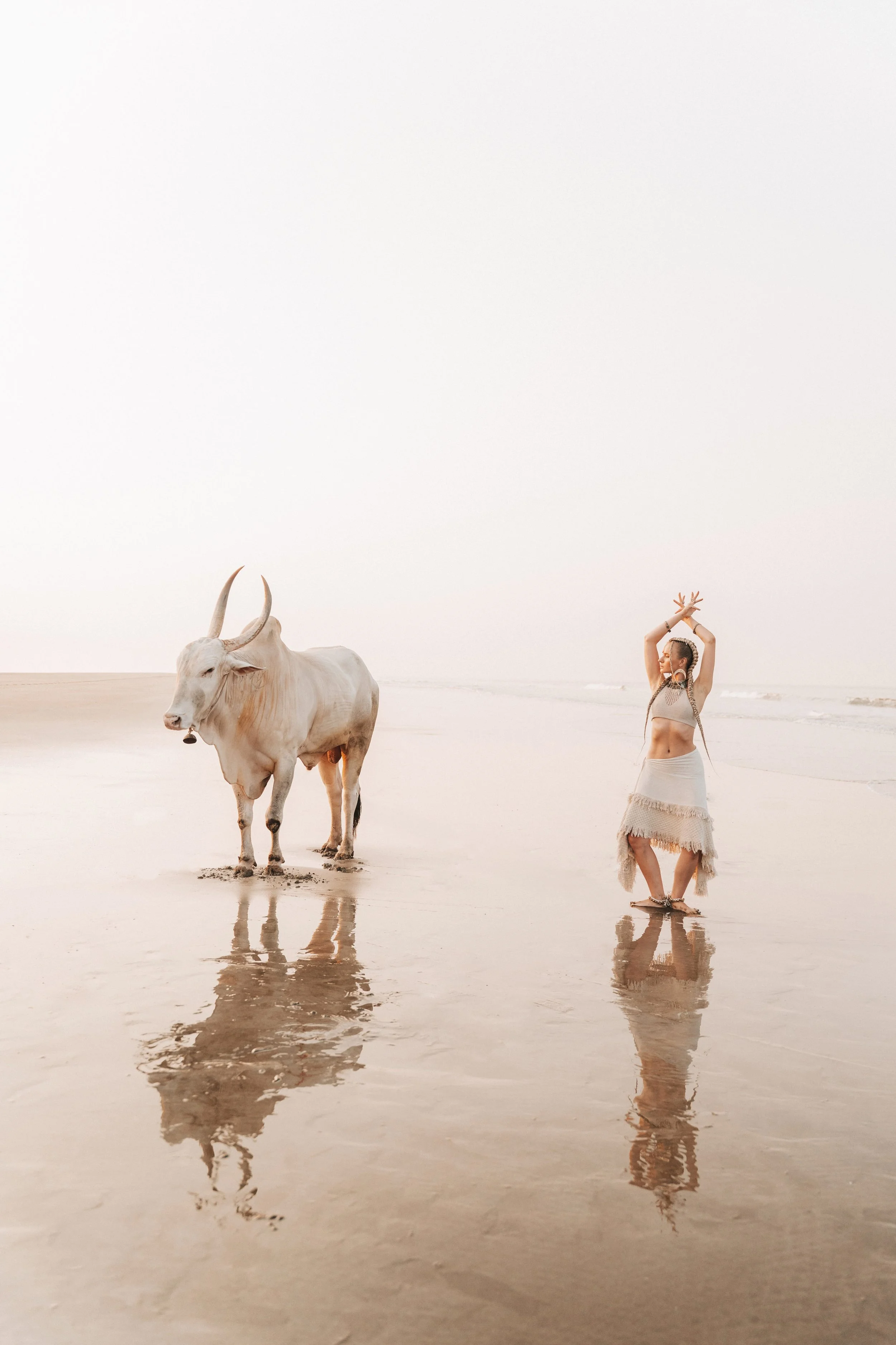 Arambol Beach Bull Shoot 2-1.jpg