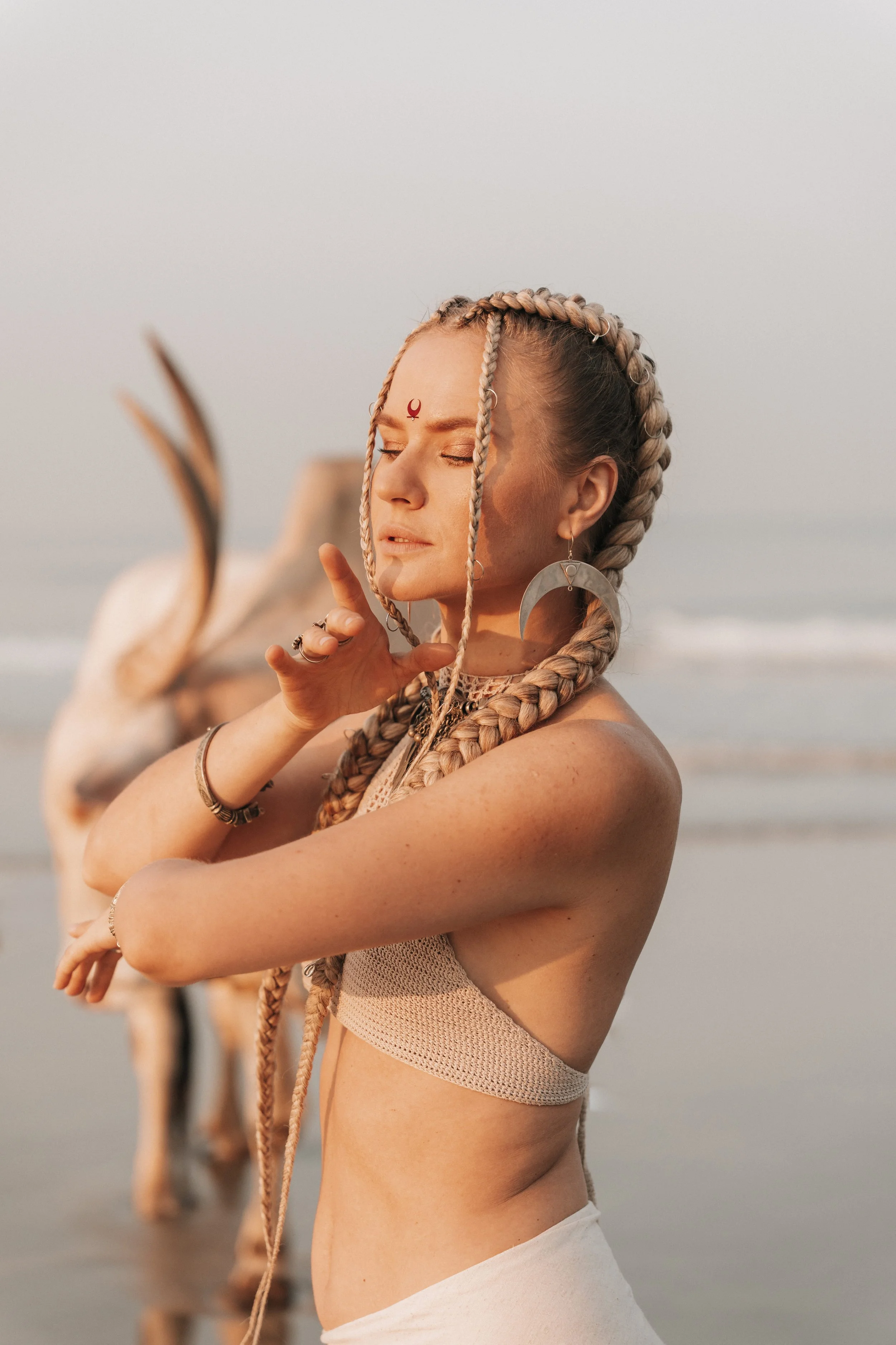 Arambol Beach Bull Shoot 2-24.jpg