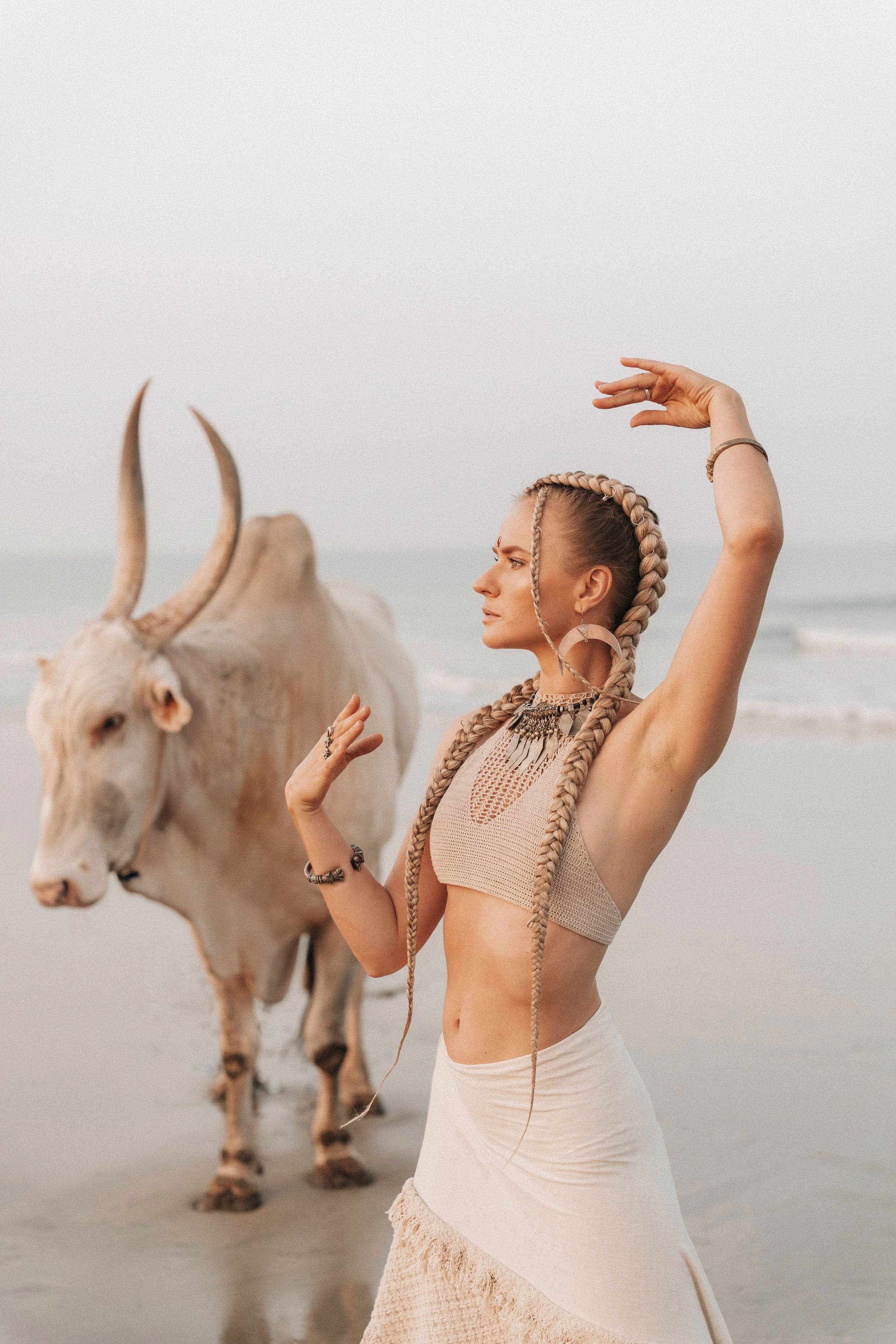 Arambol Beach Bull Shoot 2-3.jpg