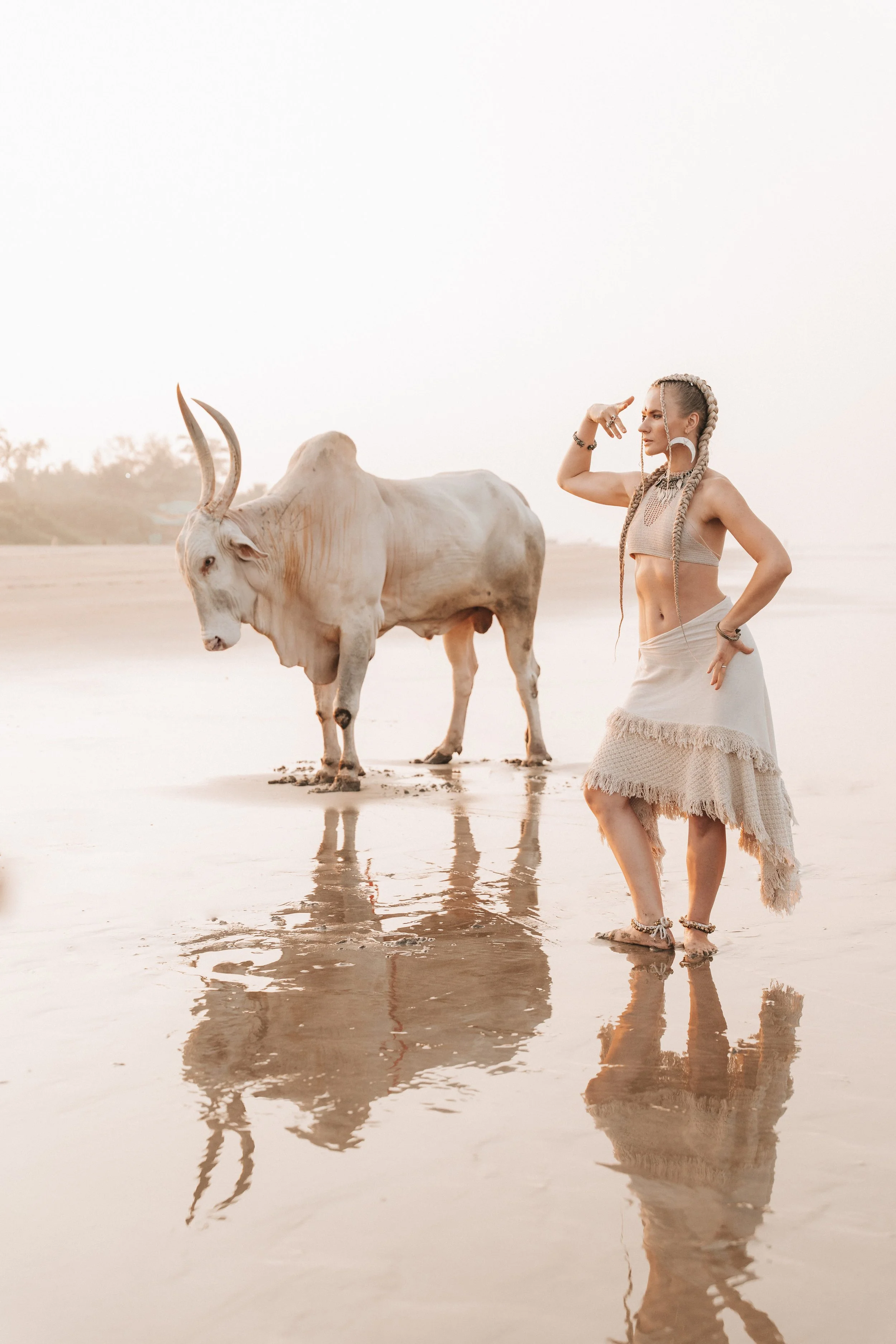 Arambol Beach Bull Shoot 2-19.jpg