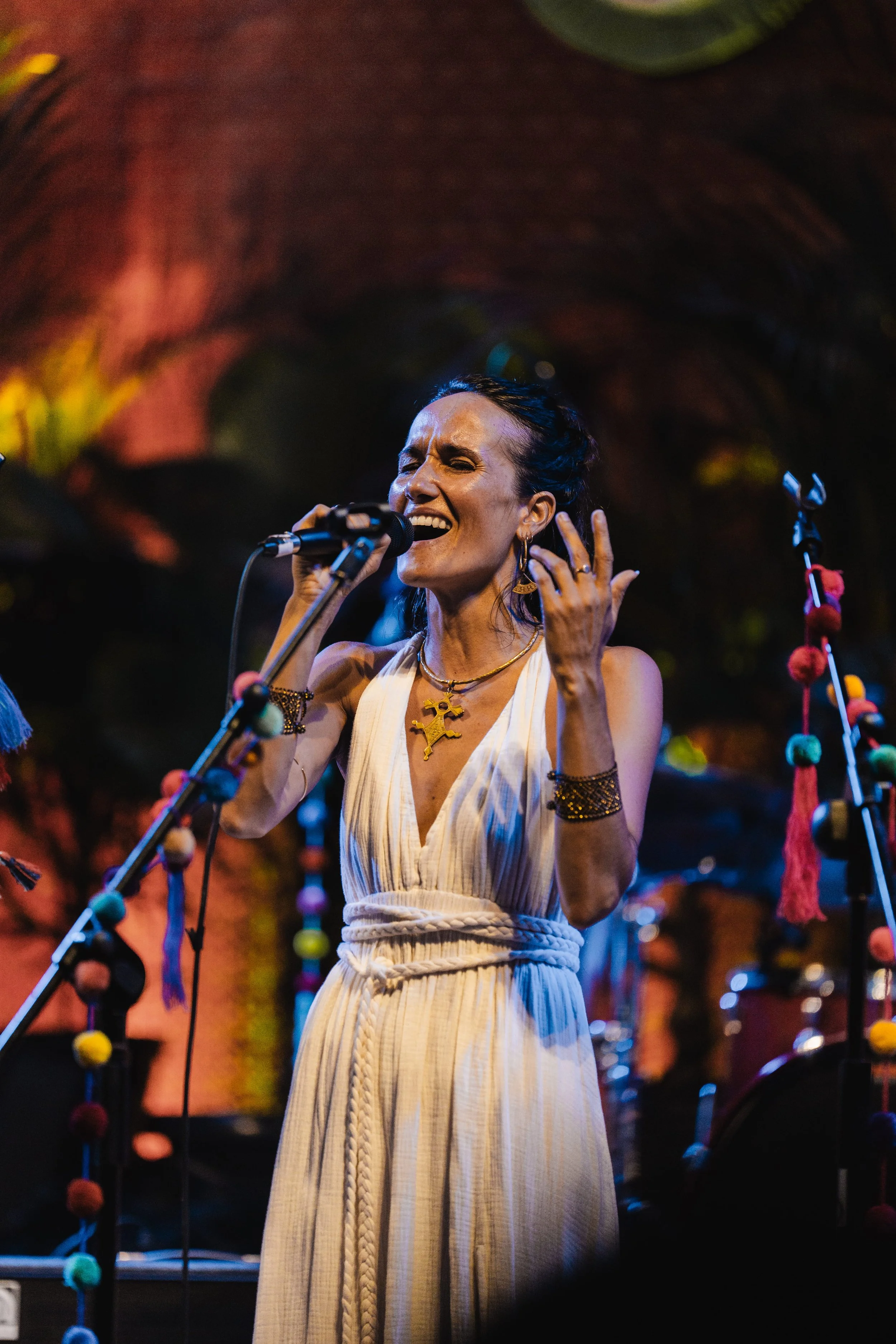 Hanuman Project BSF-14.jpg