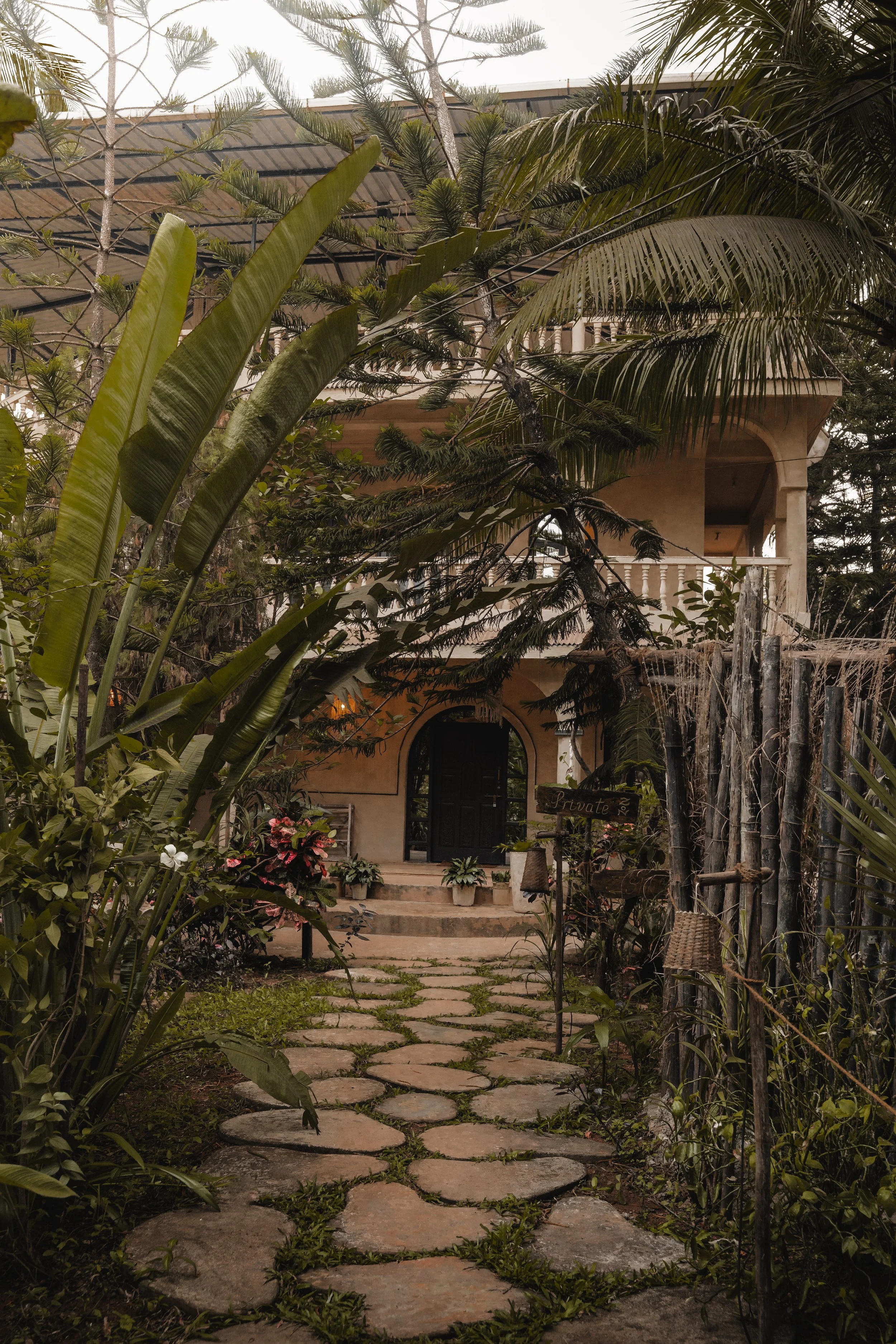 Palmorama Photo 17.jpg