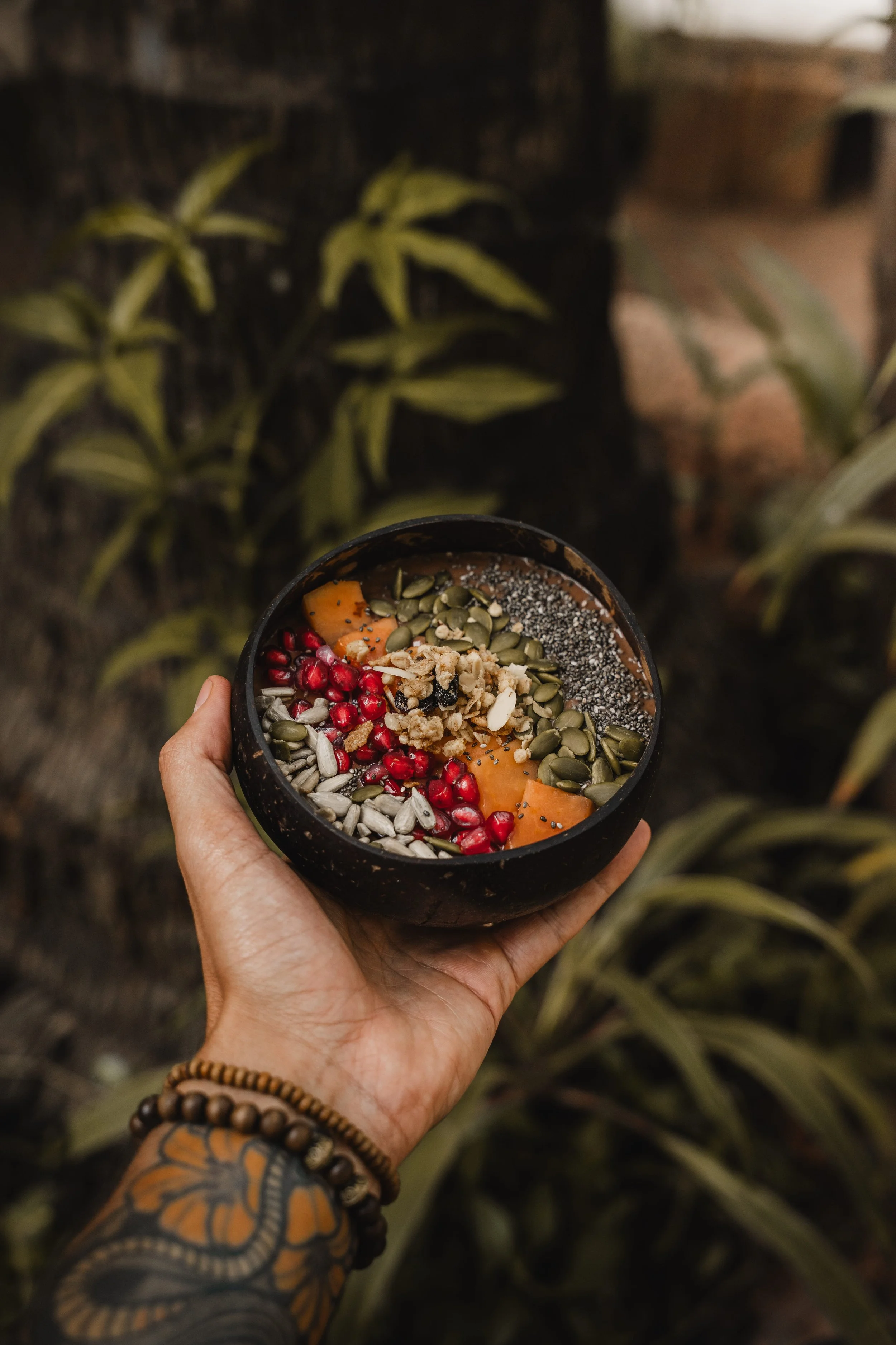 Palmorama Photo 27.jpg