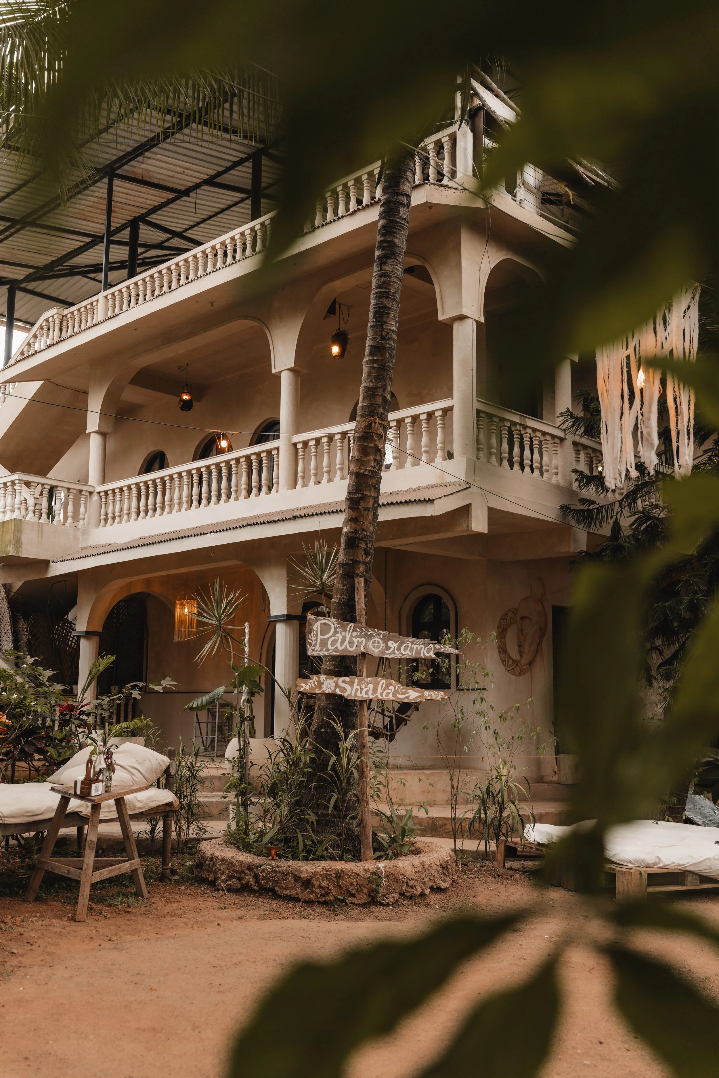 Palmorama Photo 20.jpg