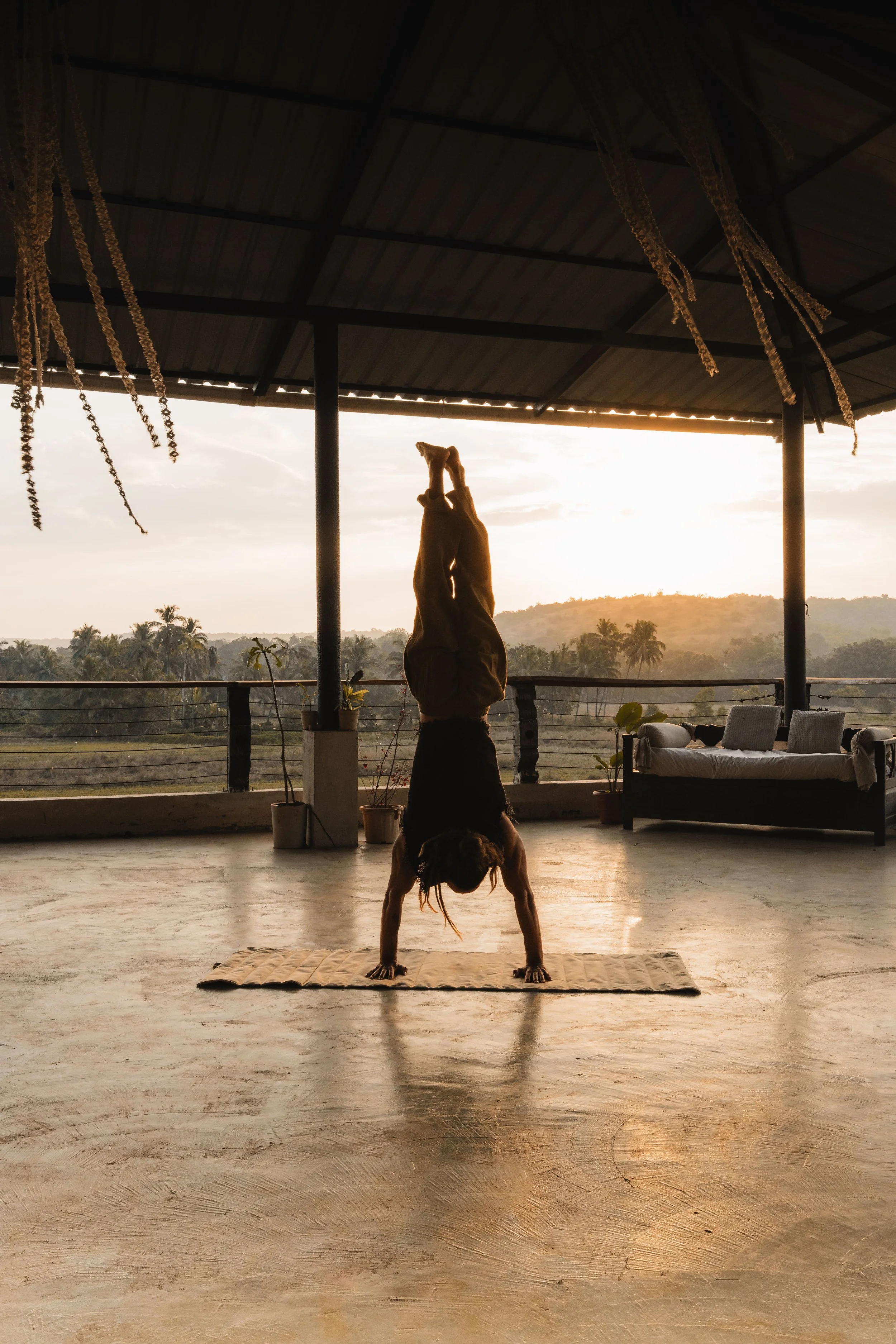 Palmorama Photo 5.jpg