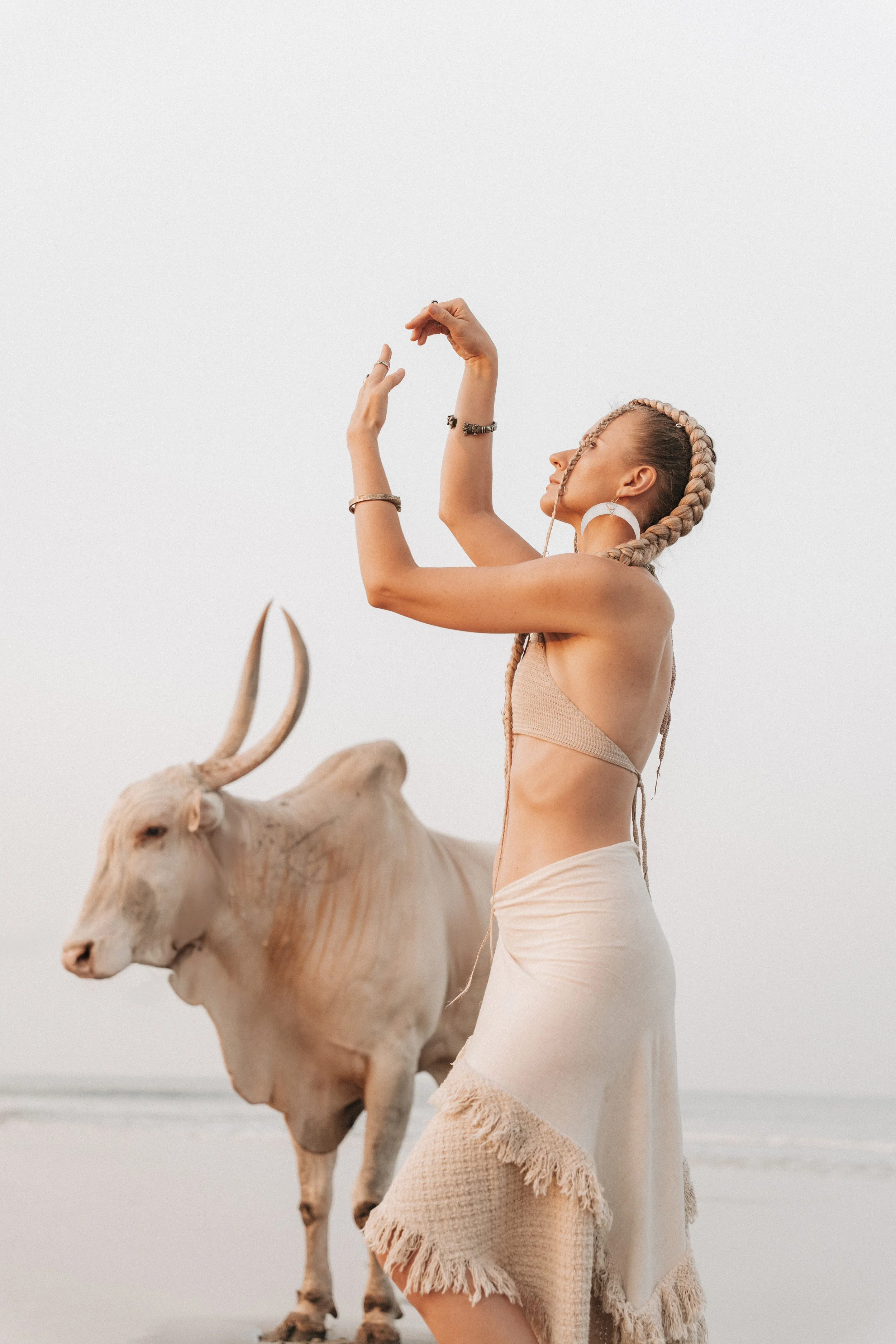 Arambol Beach Bull Shoot 2-9.jpg