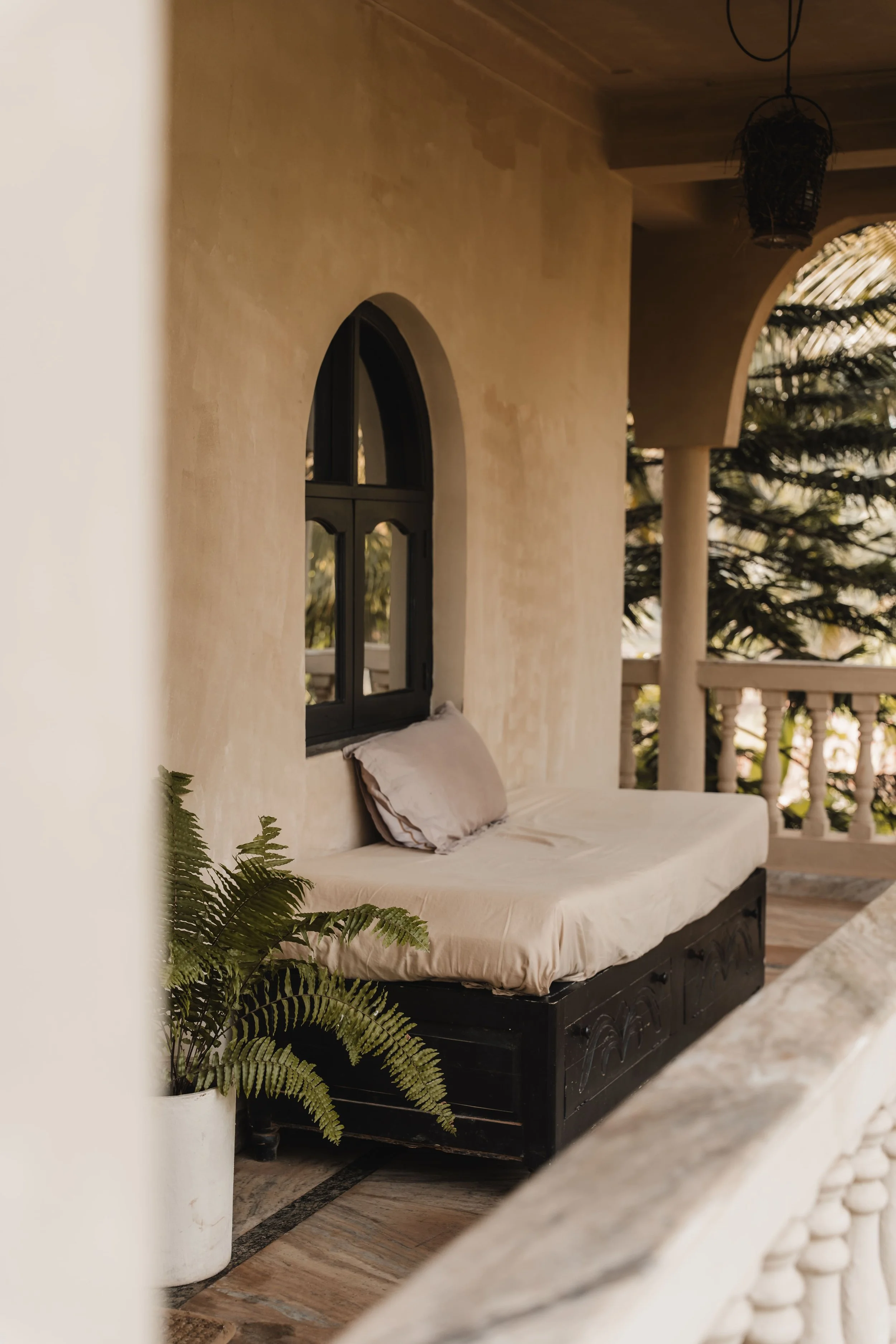 Palmorama Photo 49.jpg