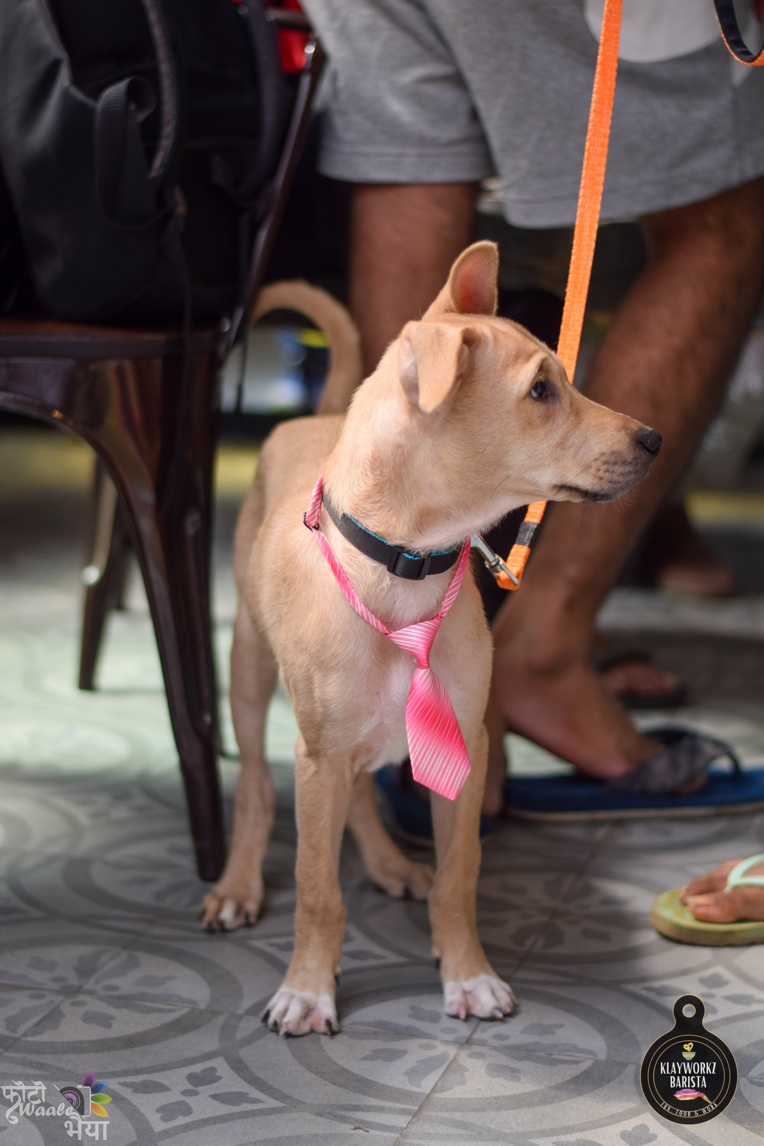 DSC_6577.jpg
