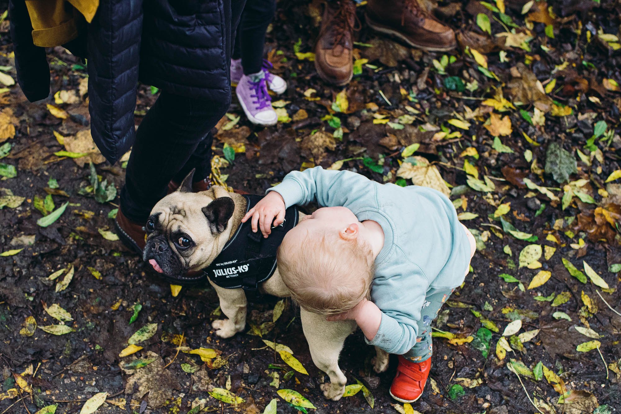 dulwich-family-photographer-toddler-hugging-family-dog-nunhead-cemetery-london-autumn-photoshoot.jpg