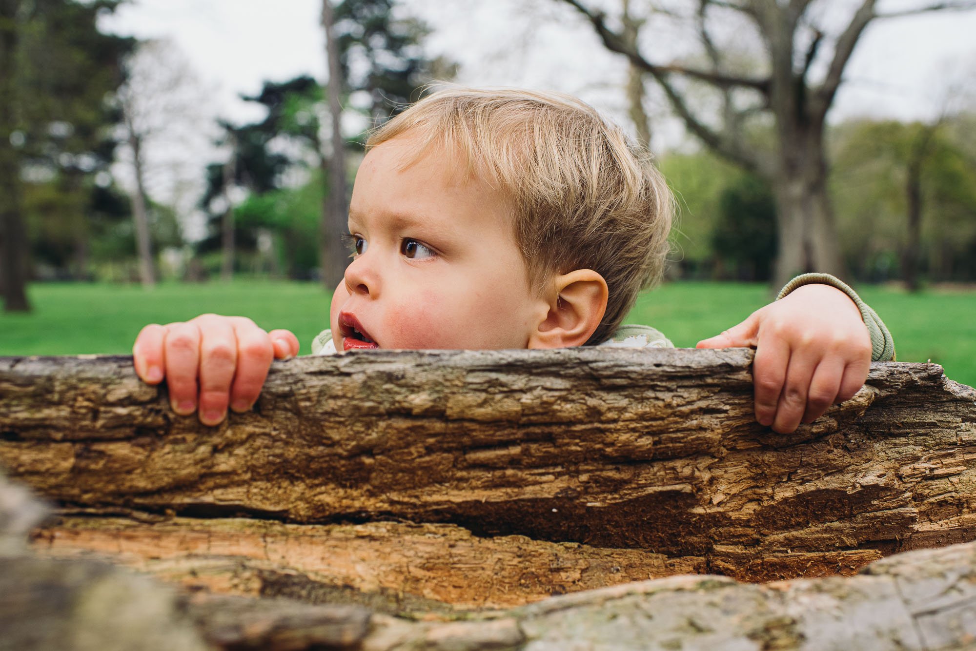 little-boy-toddler-tree-trunk-park-peckham-rue-dulwich-family-photographer-london.jpg