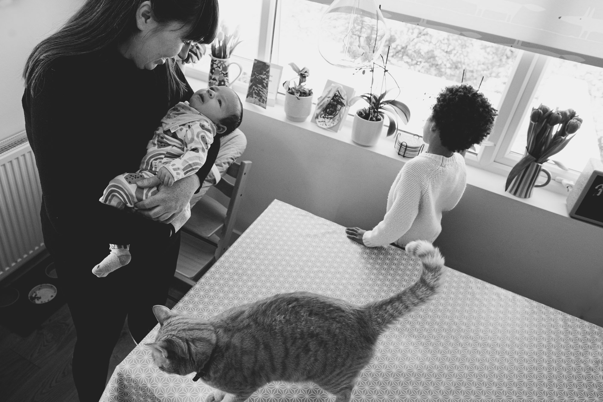 at-home-newborn-photoshoot-kitchen-cat-table-documentary-newborn-photography-sussex-brighton-hove.jpg