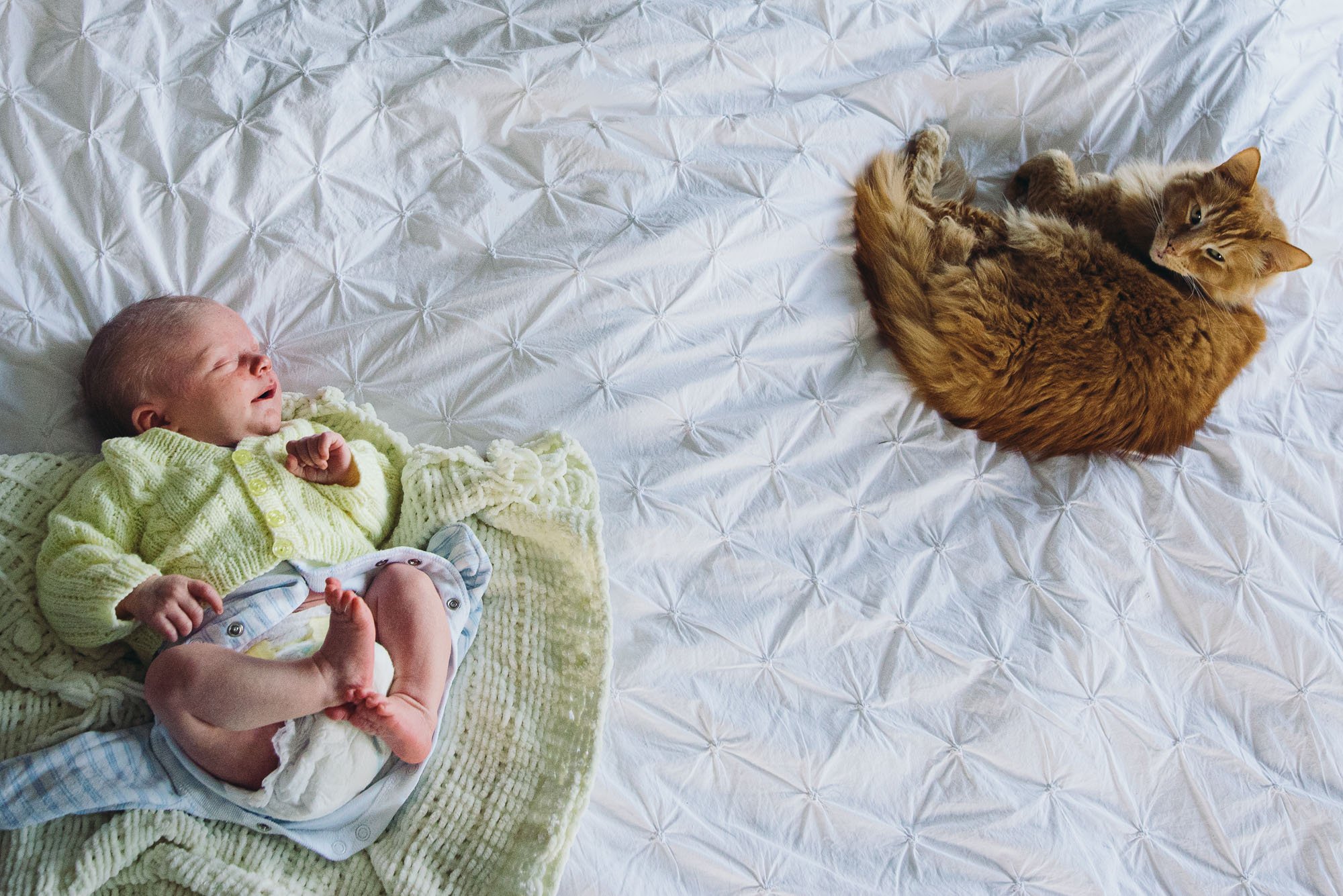 newborn-baby-boy-and-cat-on-bed-at-home-newborn-documentary-photography-sussex-brighton-worthing-hove-lewes.jpg