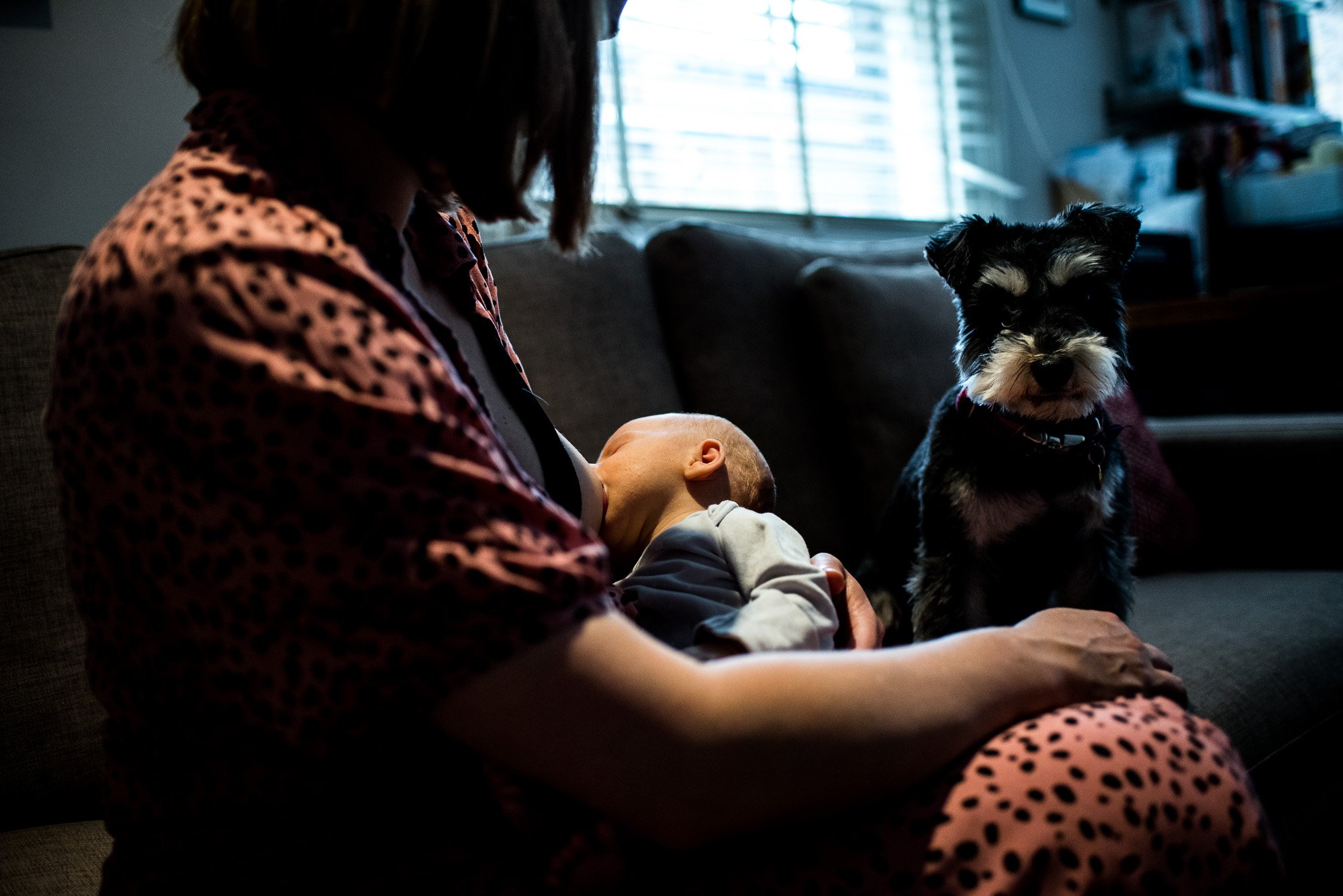 newborn-baby-feeding-mother-dog-family-portrait-at-home-photoshoot-brighton-worthing-london.jpg