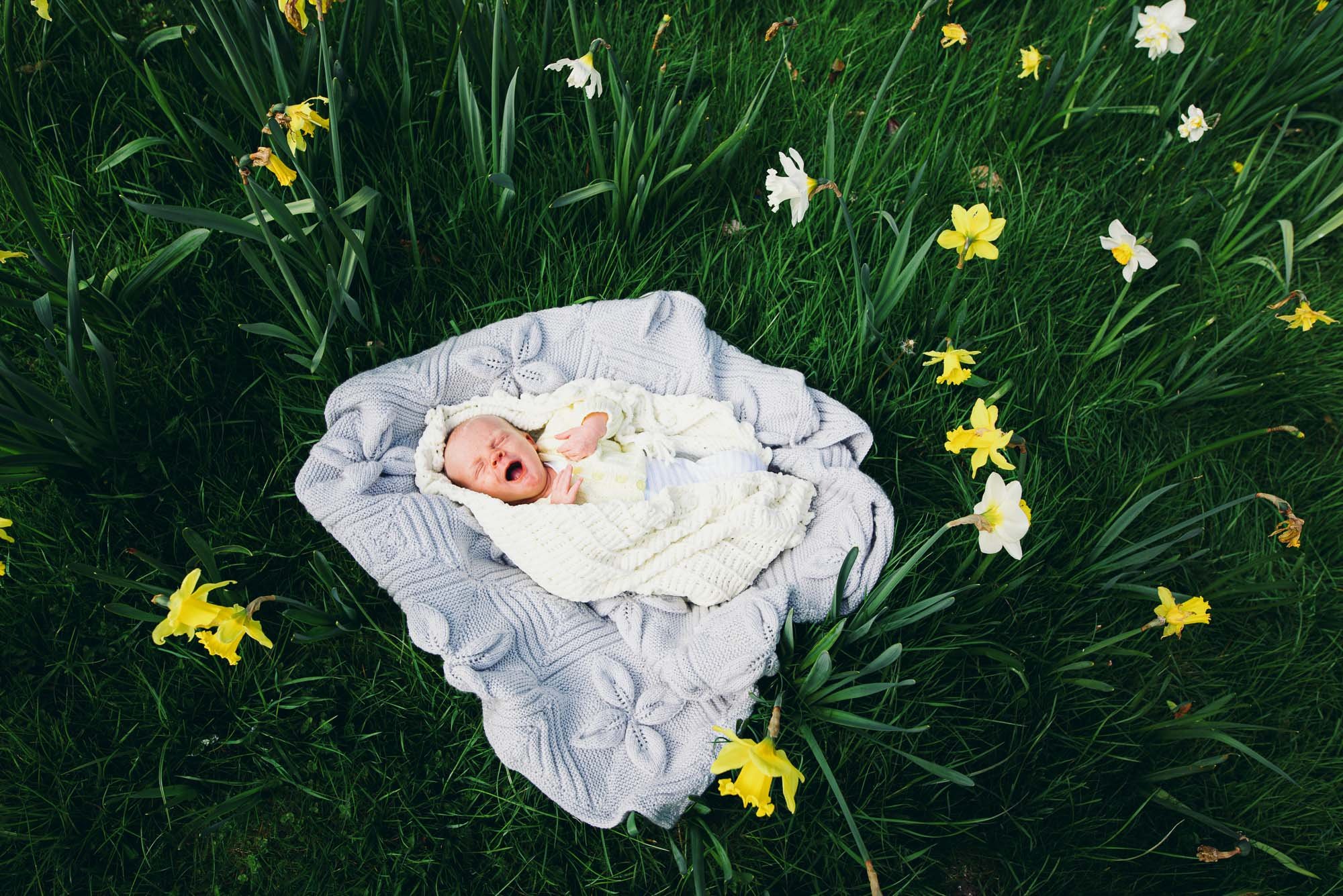 newborn-baby-portrait-spring-grass-daffodils-sussex-hassocks-newborn-photography-unposed-natural-documentary.jpg