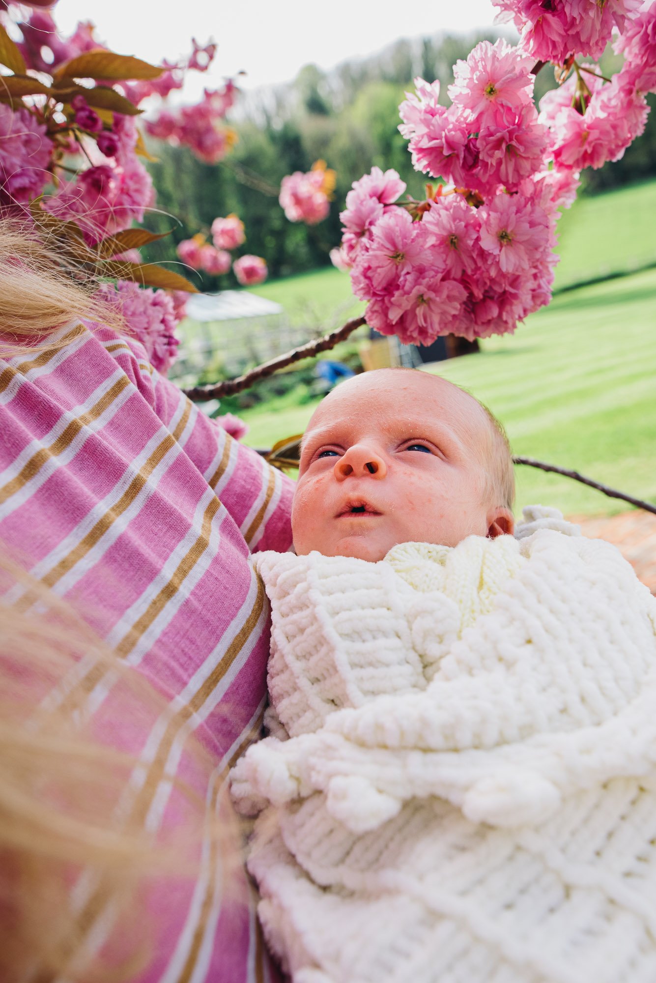 newborn-baby-portrait-blossom-in-garden-mum-holding-baby-boy.jpg