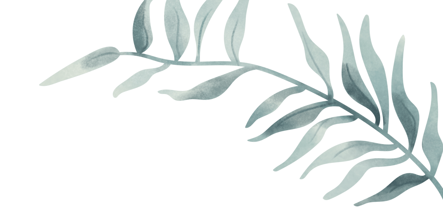 Watercolor illustration of a leafy branch with long, slender, light green leaves on a black background.