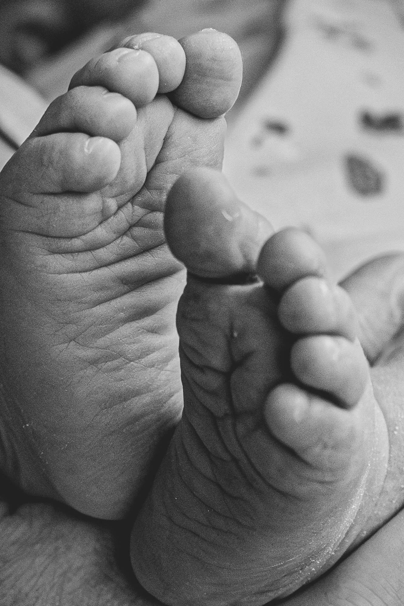 Dulwich newborn baby photography, close-up of baby's feet during an in-home session in Forest Hill. Award-winning newborn photography in South London.