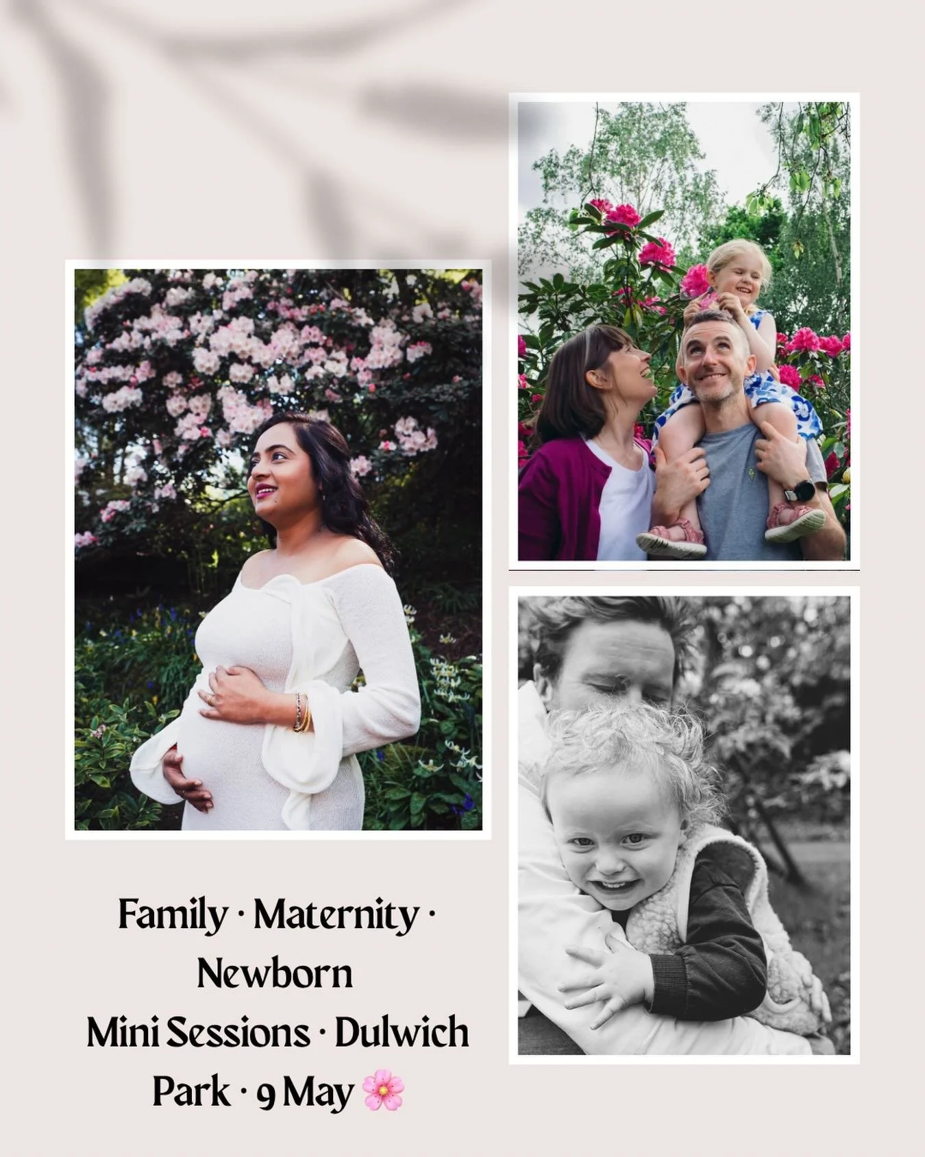 Fingers crossed the azaleas are putting on a show this Saturday. 🌸

A few spots left for my mini sessions in Dulwich Park, London - 9 May.

Families, bumps, newborns - 30 minutes in one of SE London&rsquo;s prettiest spots. 

&pound;225 &bull; 10 ed