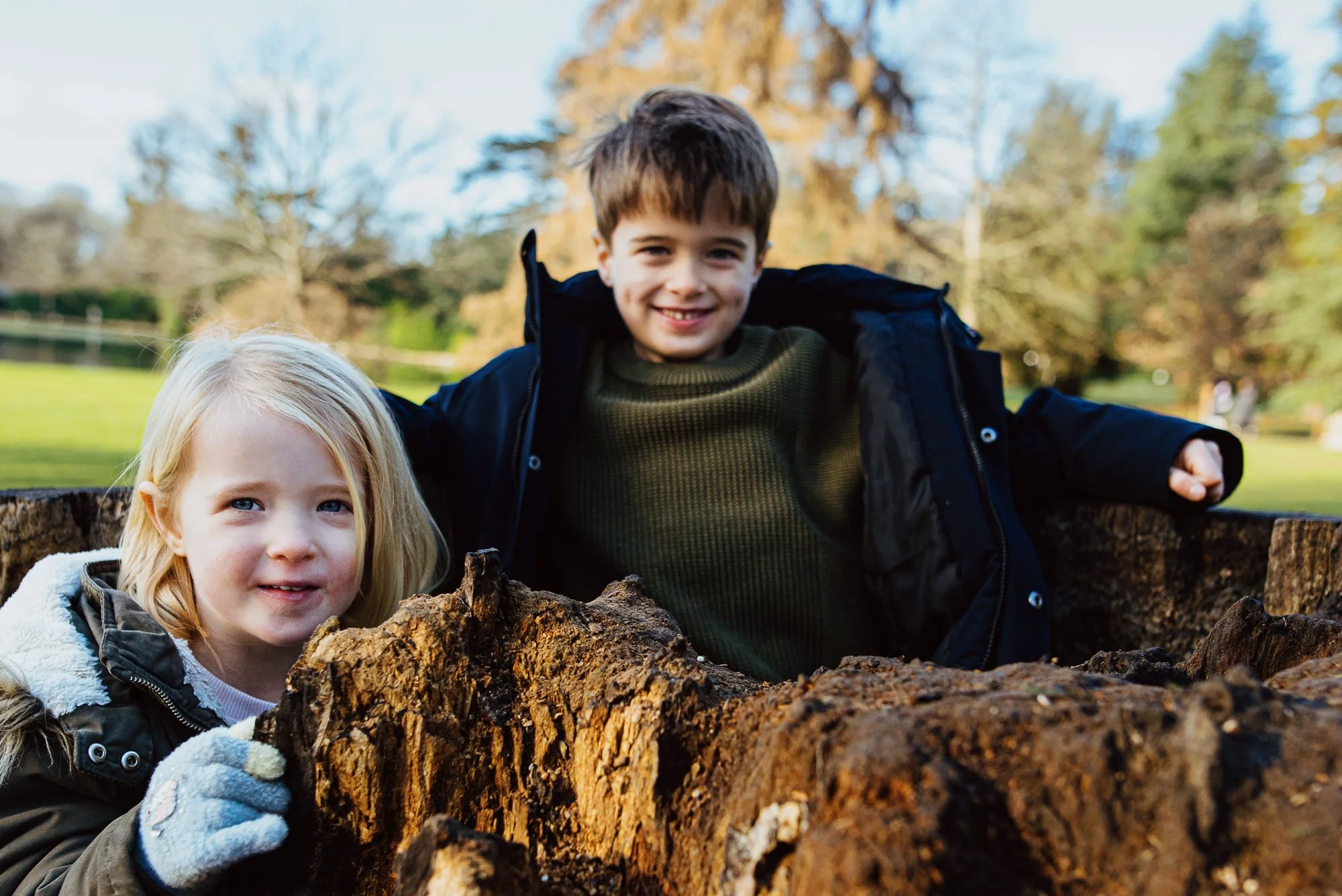 Oxshott family photography: portrait of siblings in tree trunk in Claremont Gardens. Family photoshoot outdoors in Surrey, natural, authentic family lifestyle photography.