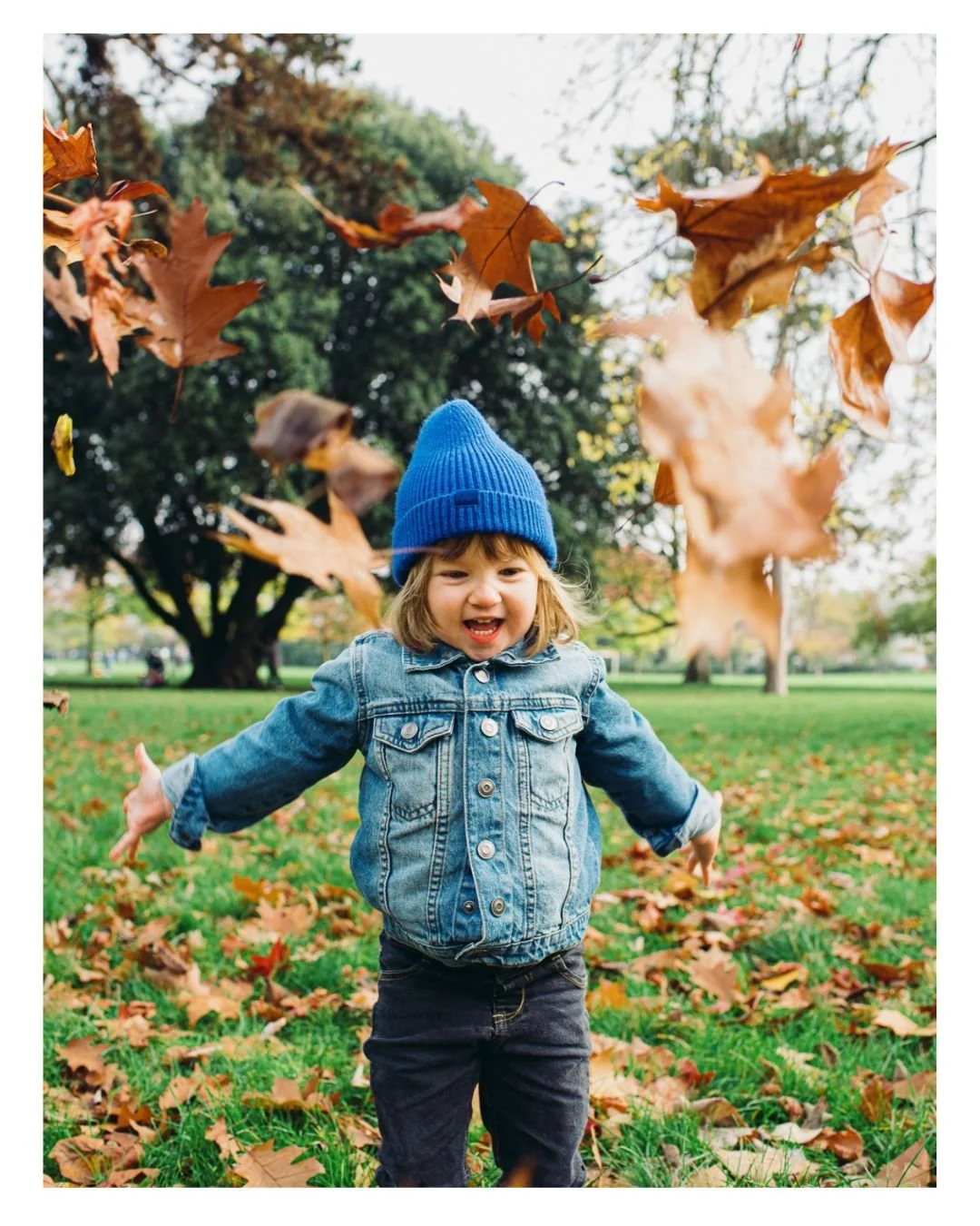 Autumn family photoshoot in Regent's Park, central London. Girl throwing leaves in the air, laughing.