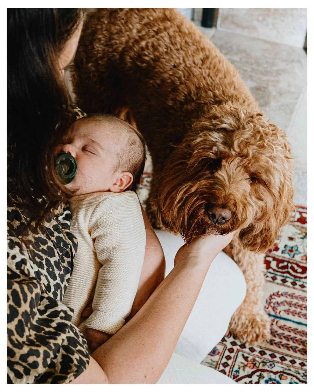 Highgate in-home newborn photoshoot. Mother, dog and newborn baby boy.