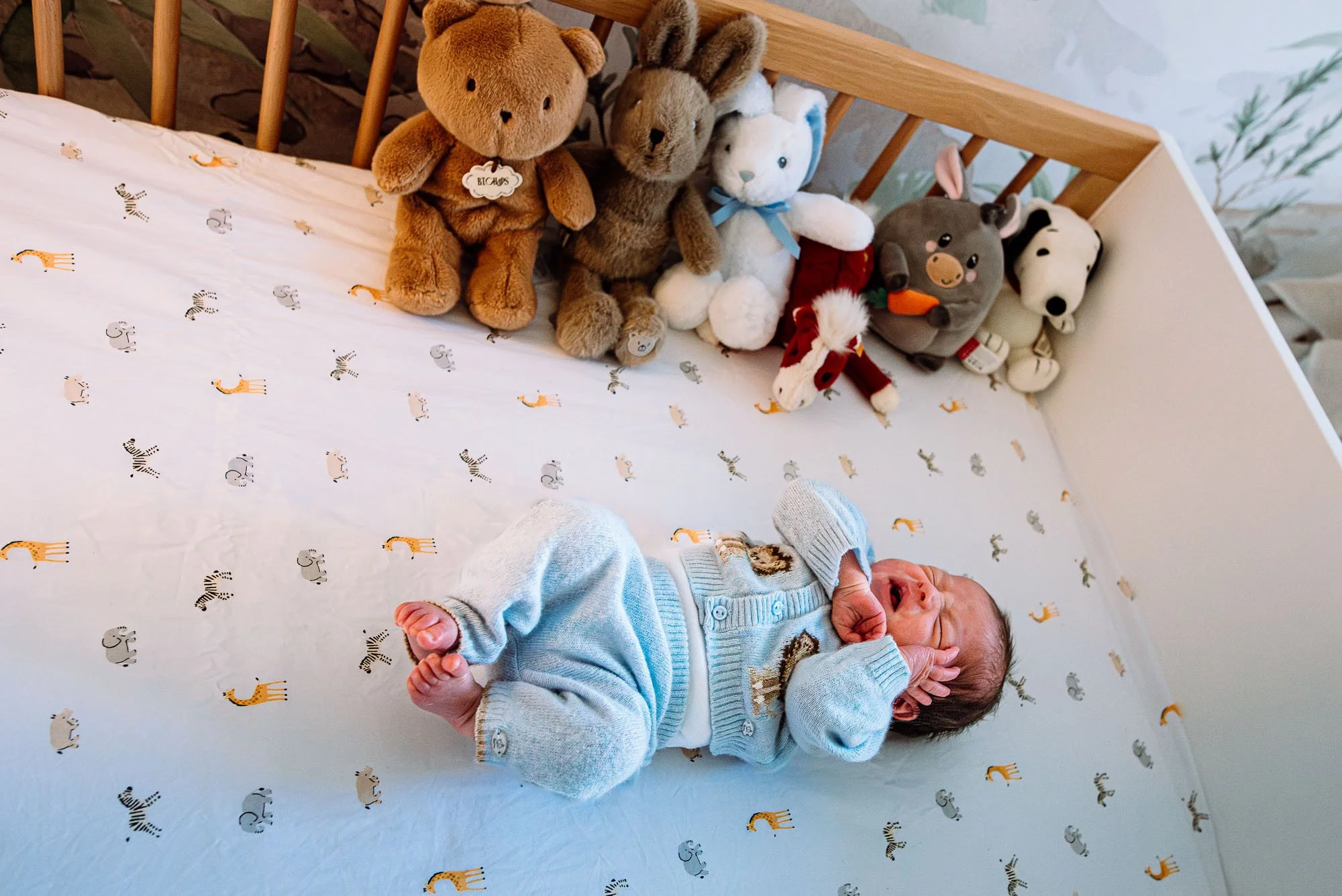 Newborn photoshoot Chichester, at home baby photography in West Sussex. Baby boy in his cot in the nursery.