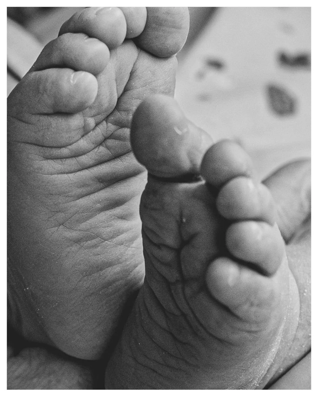 Dulwich newborn photographer capturing tiny baby feet during a newborn photoshoot at home in SE22.